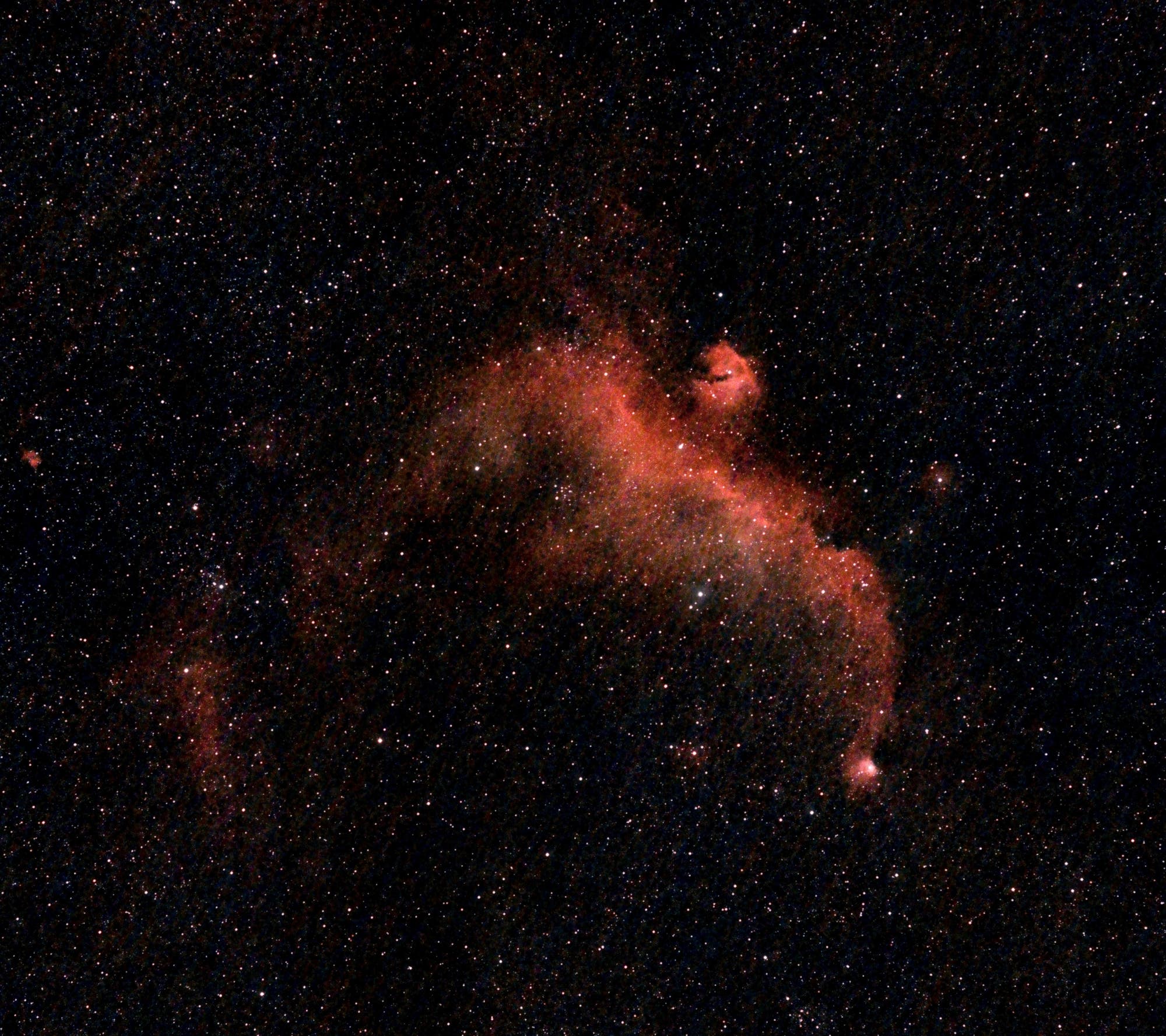 IC 2177 - Der Seemövennebel