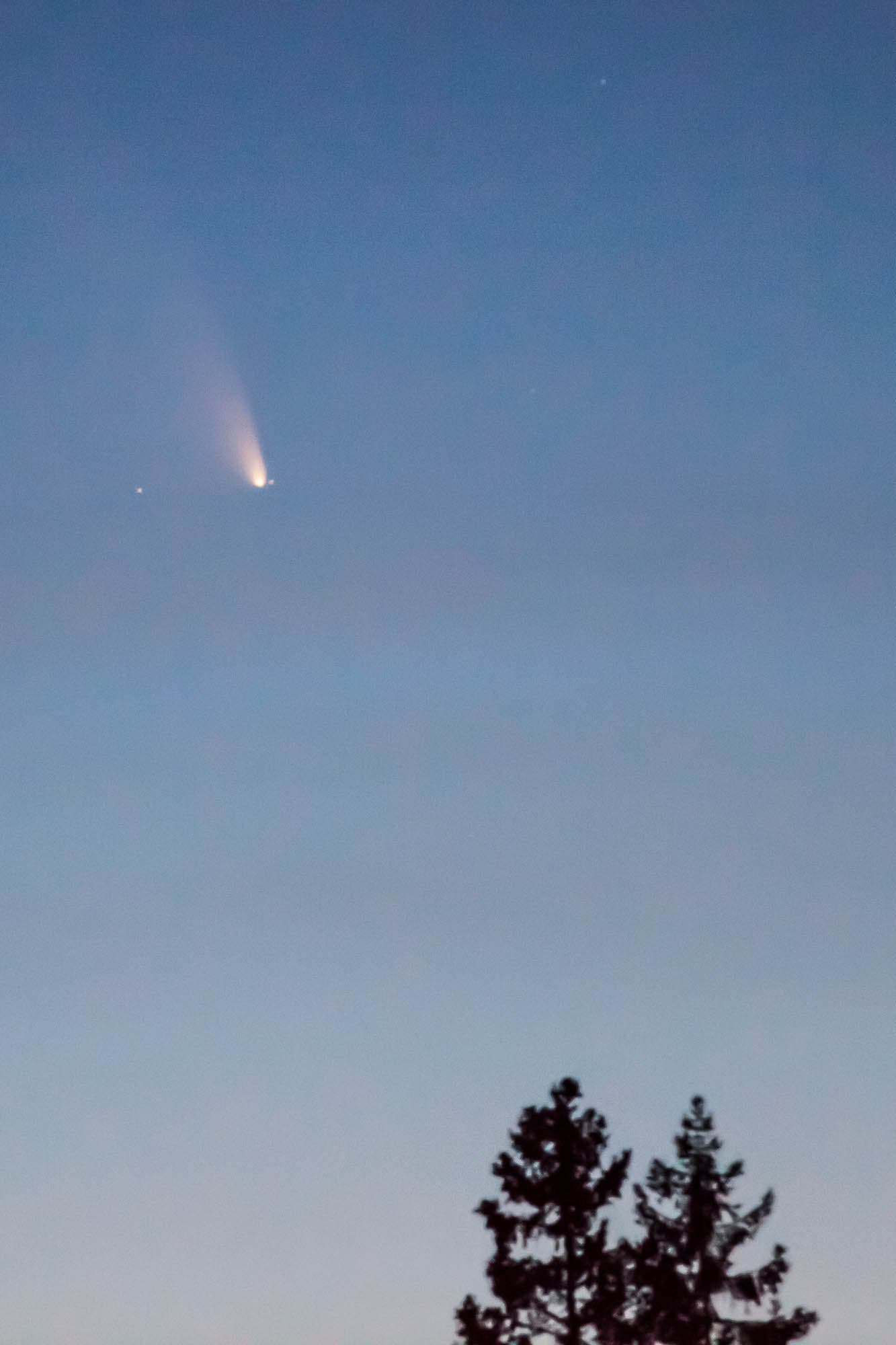 Komet Panstarrs in Südschweden