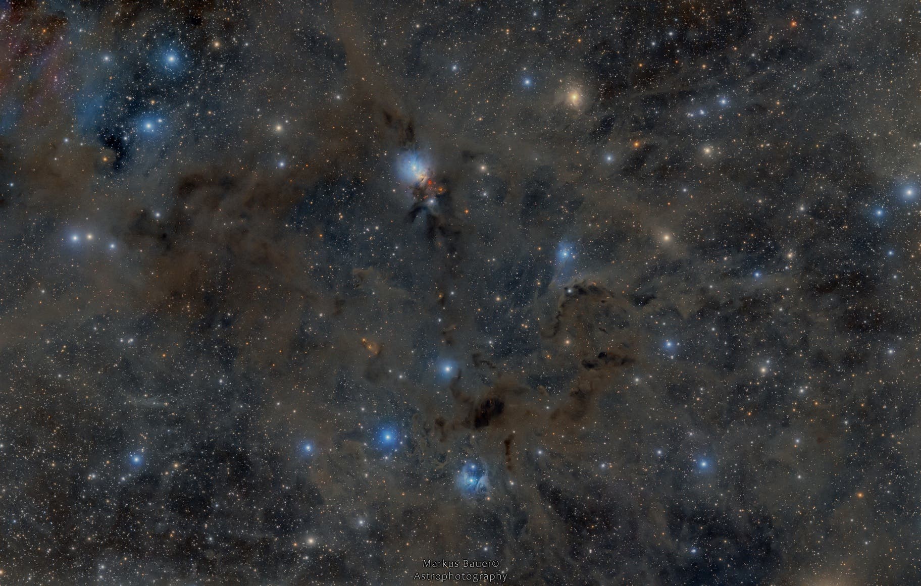 NGC 1333 und Umgebung 