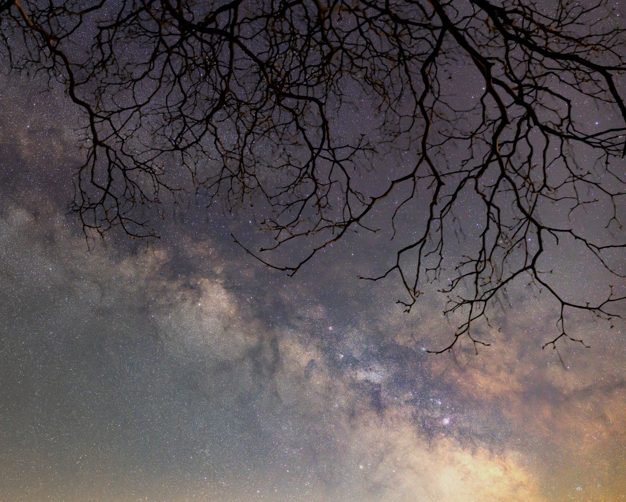 Verästelungen nah und fern