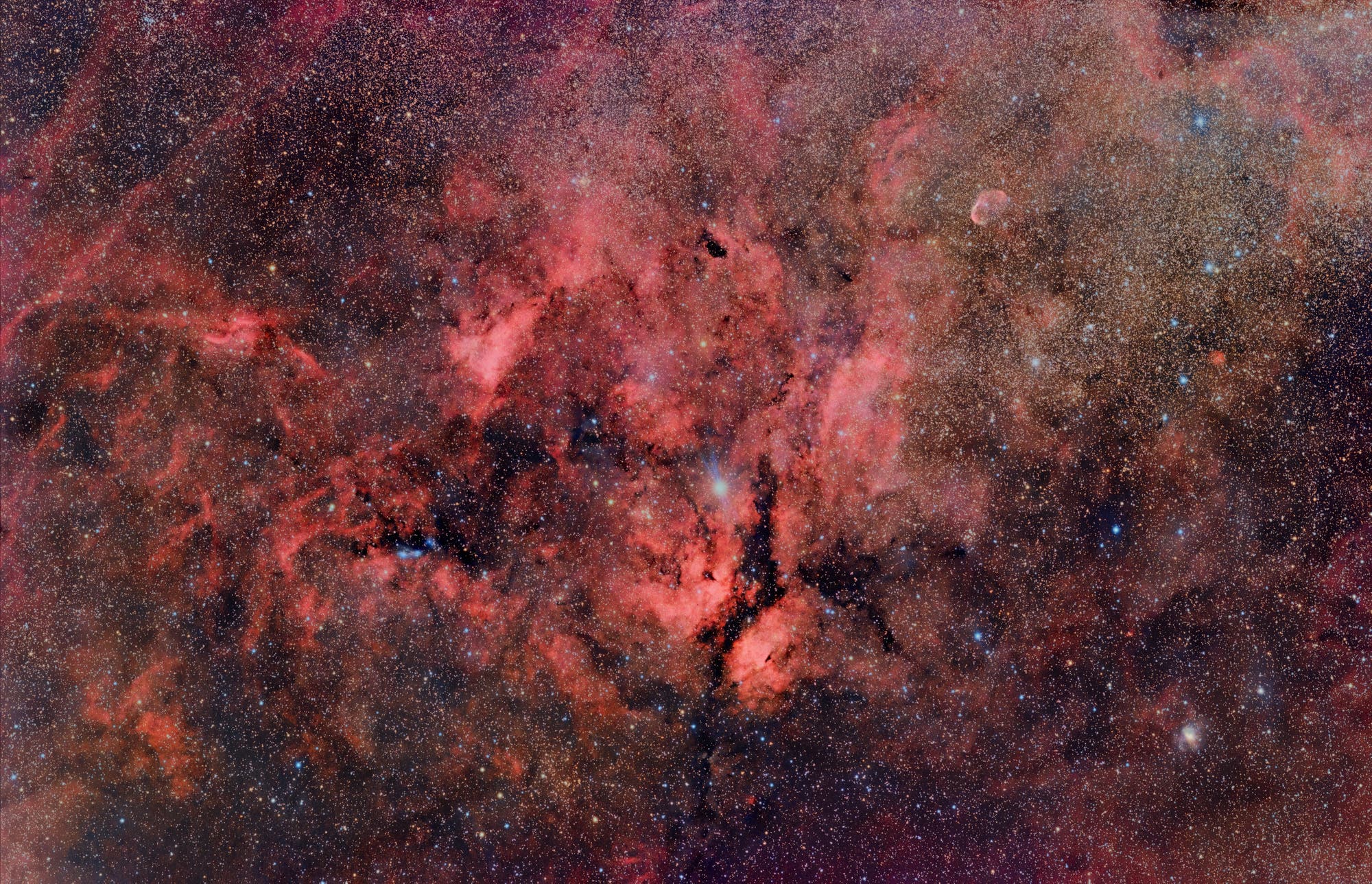 NGC 1318 Weitfeld