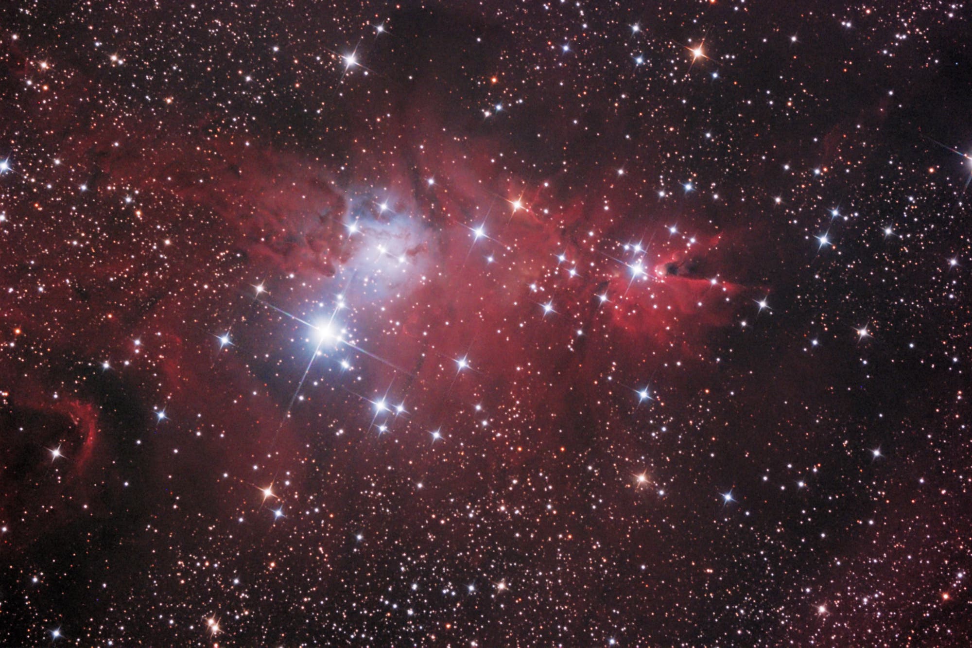 Christmastree Cluster