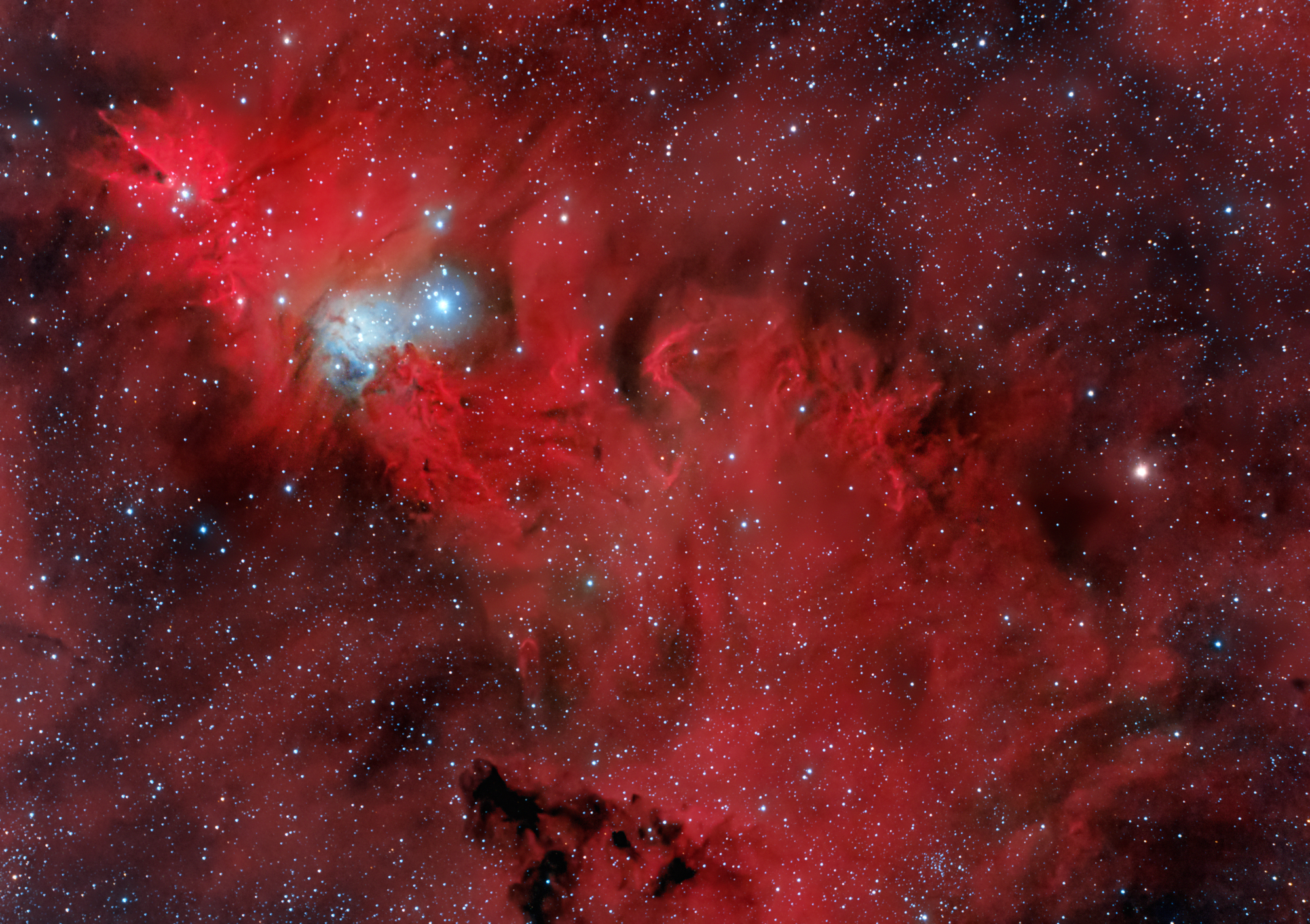 Cone nebula NGC 2264