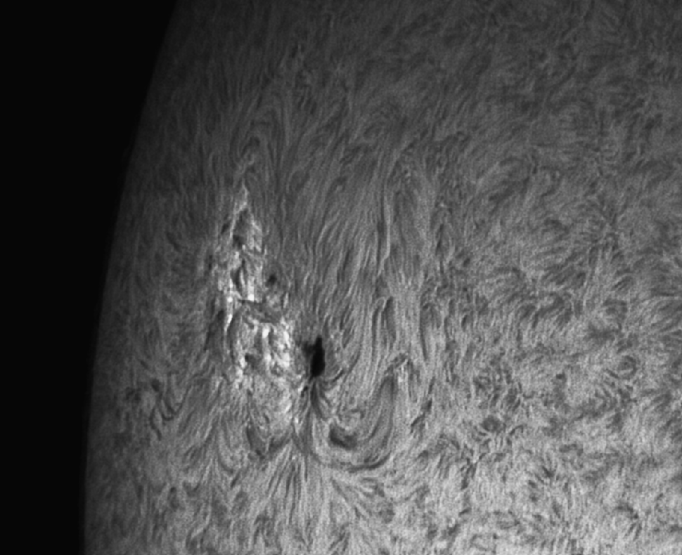 Sonnenfleck 2371 vom 17. Juni 2015 