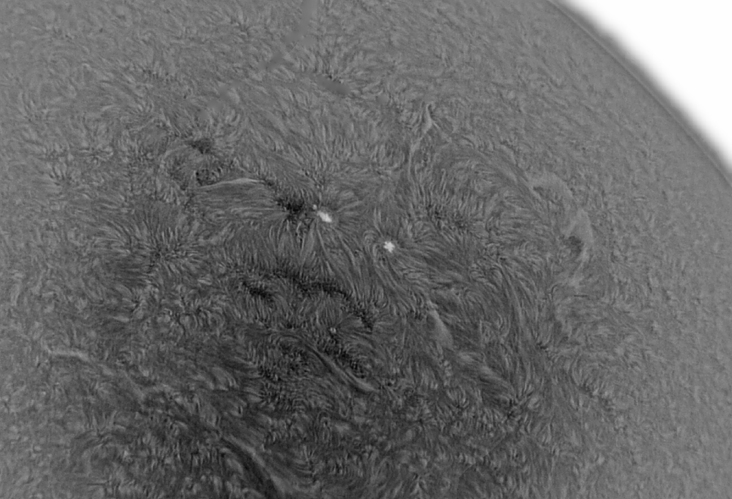 Fleckenregion der Sonne am 17. August 2016