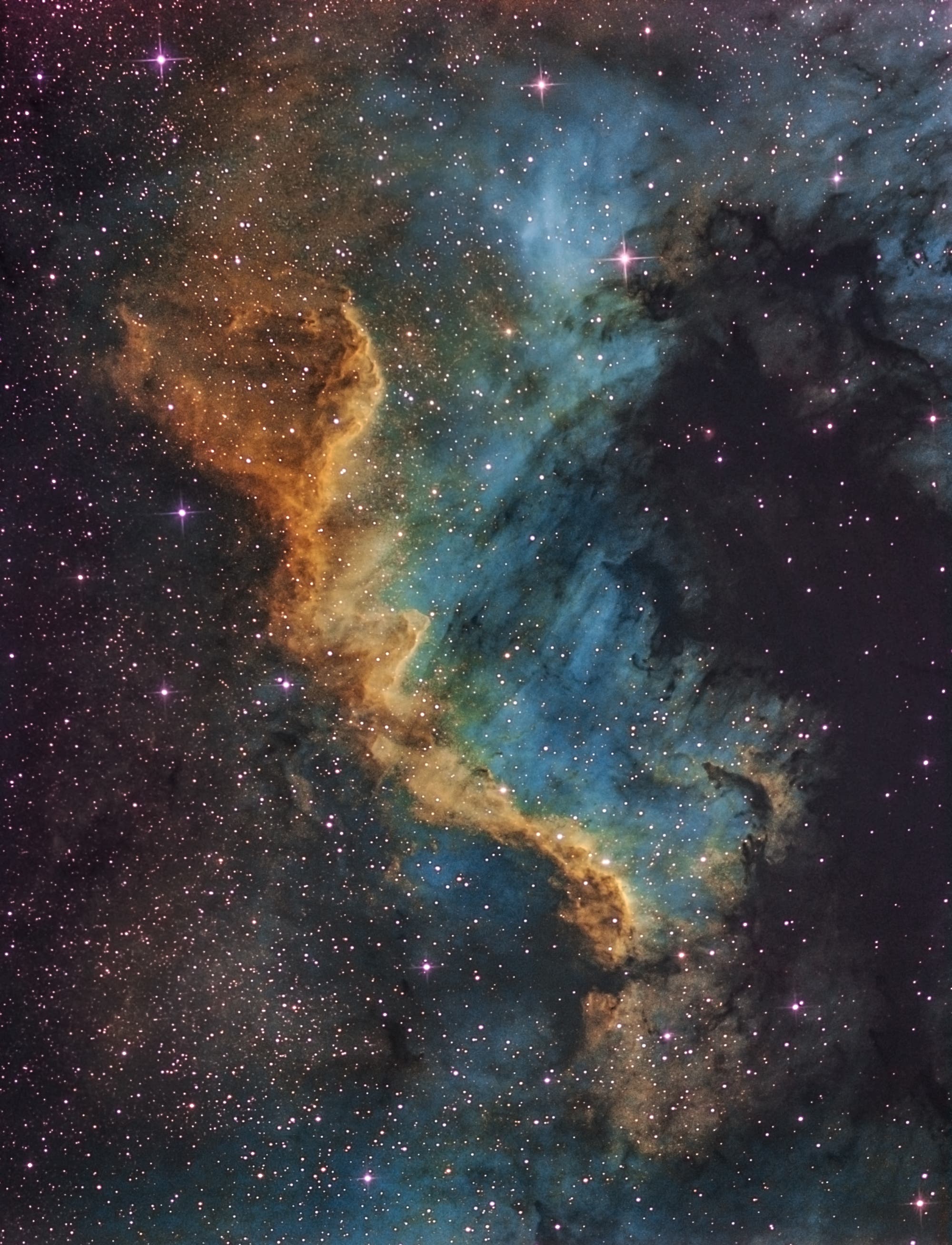 Cygnus Wall in Hubble-Palette