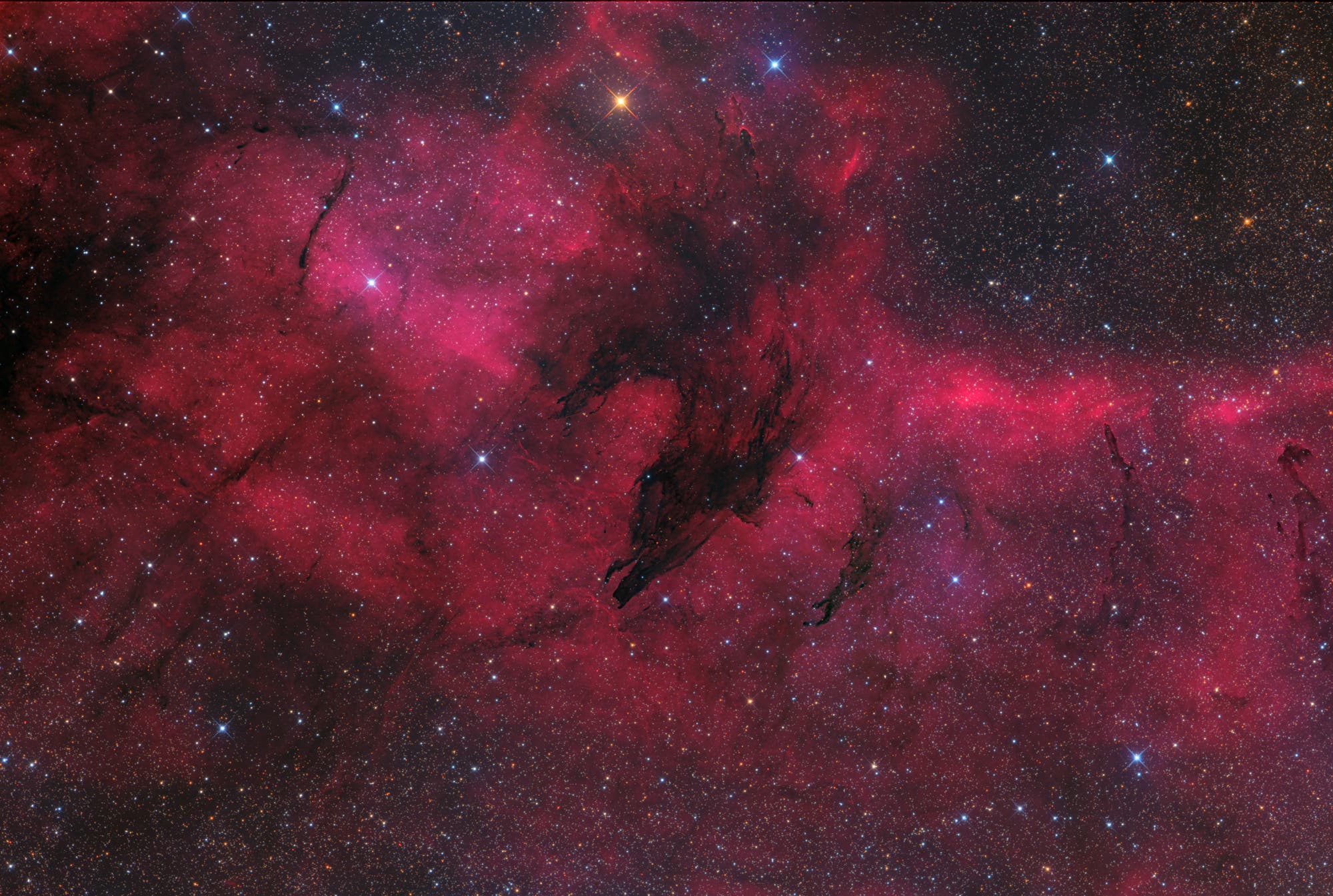 Der Wolfnebel im H-alpha-Gebiet RCW 113 im Sternbild Skorpion