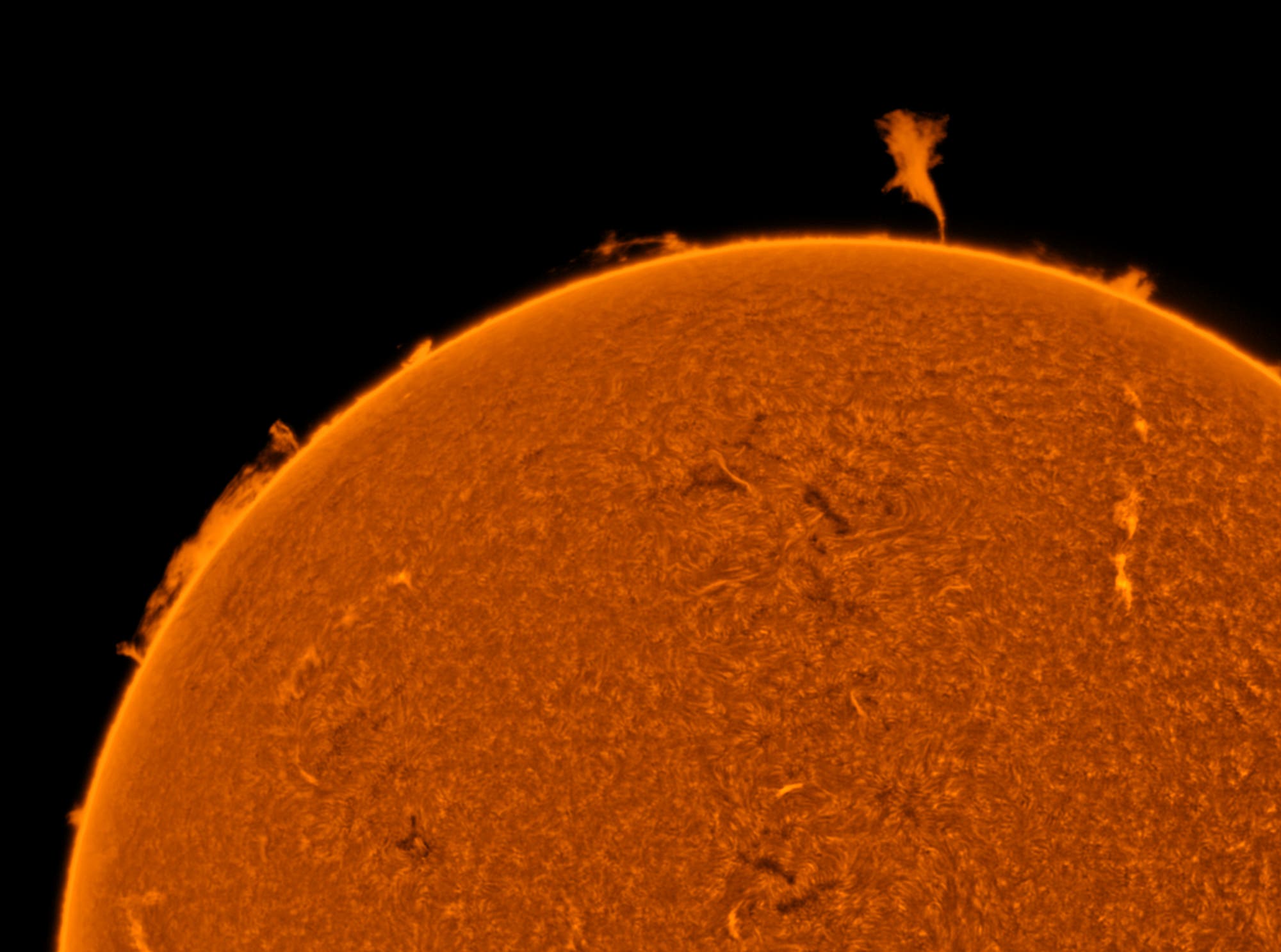 Sonne in H-alpha mit Protuberanzen