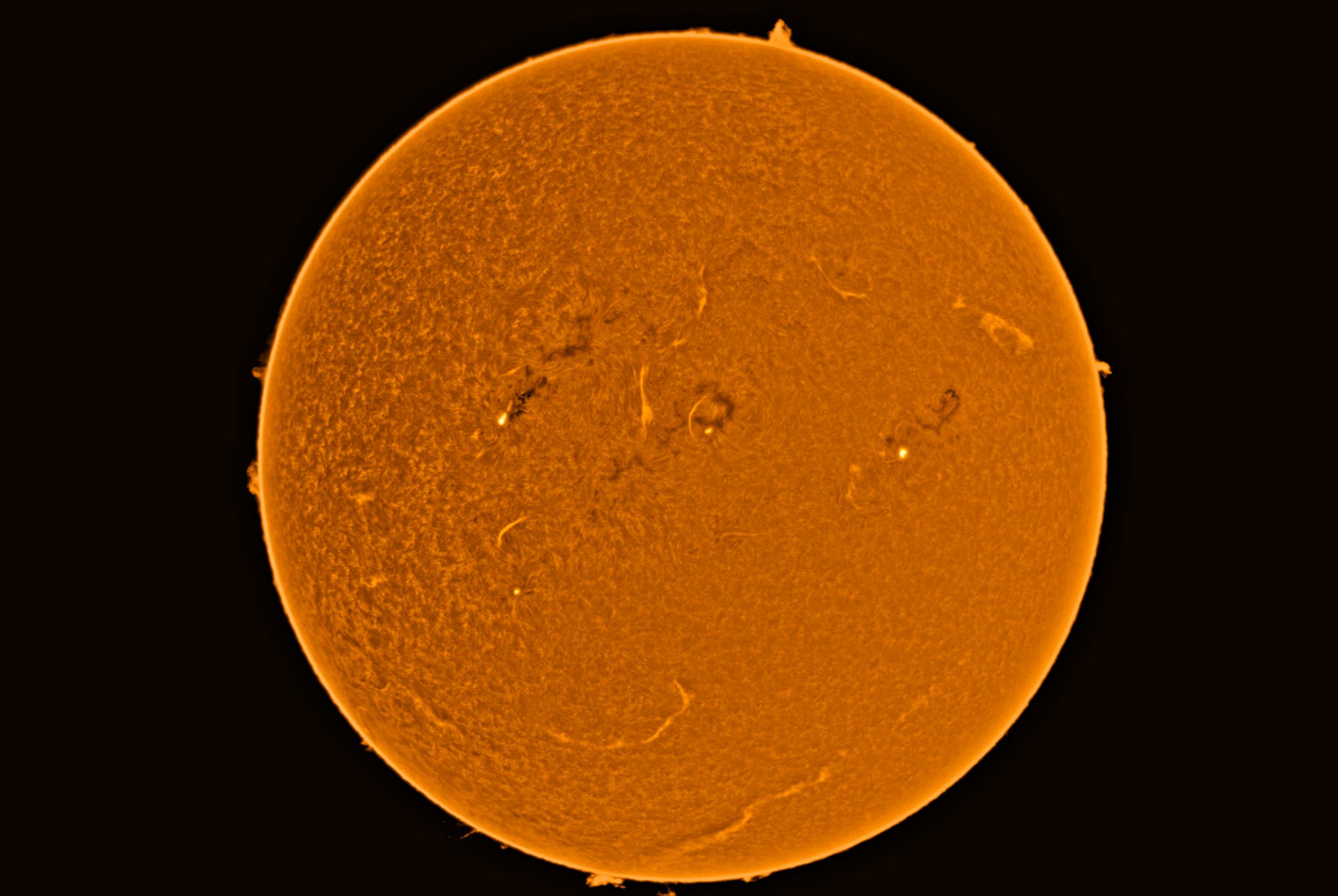 Gia duddy sextaoe thothub is the home of daily free leaked