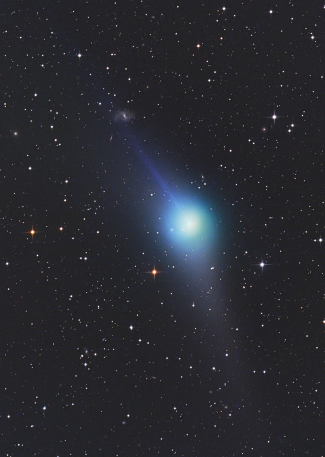 Komet Garradd am 31.1.2012 bei NGC 6339