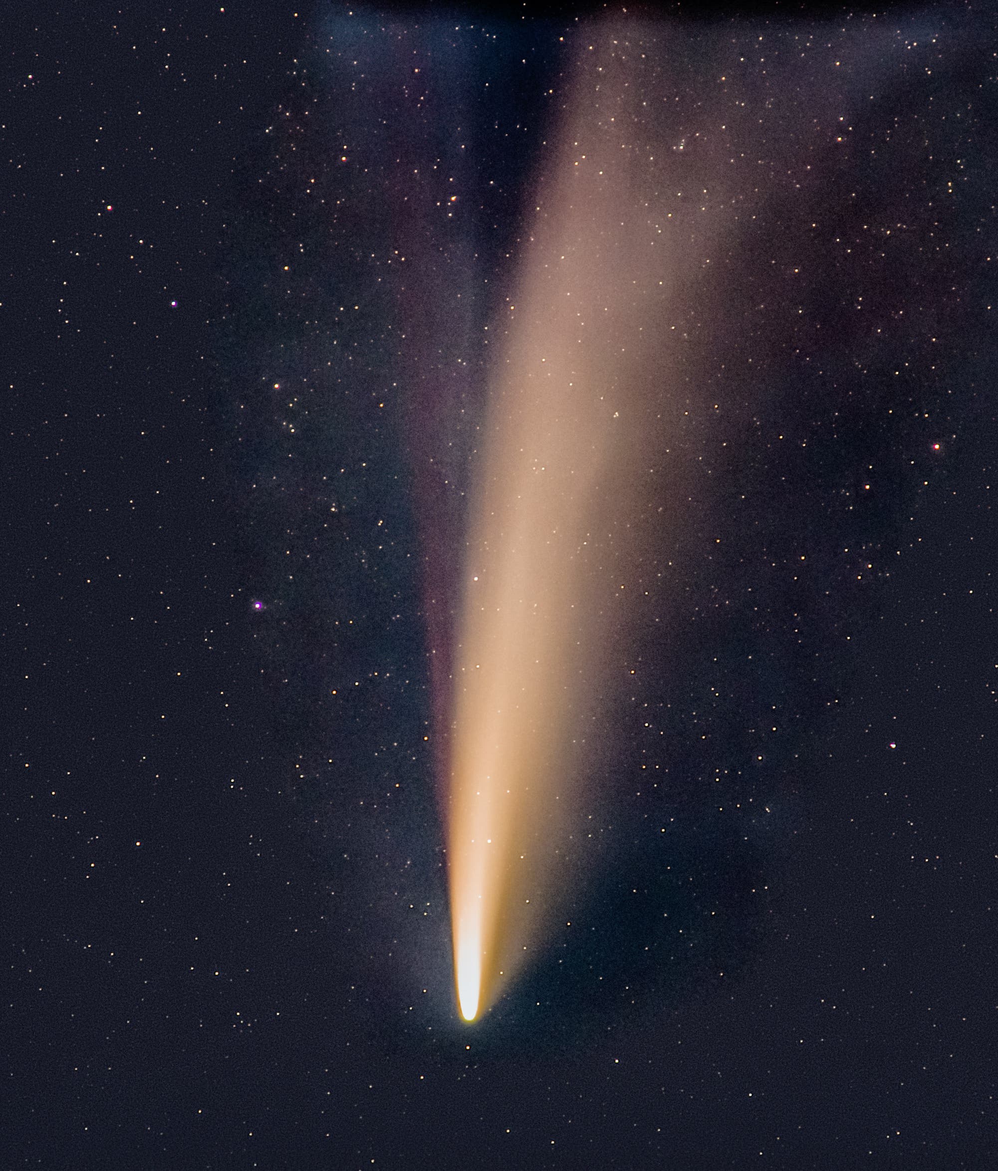 Komet Neowise vom 11. Juli 2020