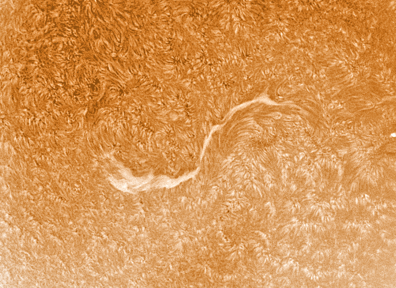 Großes Filament auf der Sonne am 24. Juni 2023