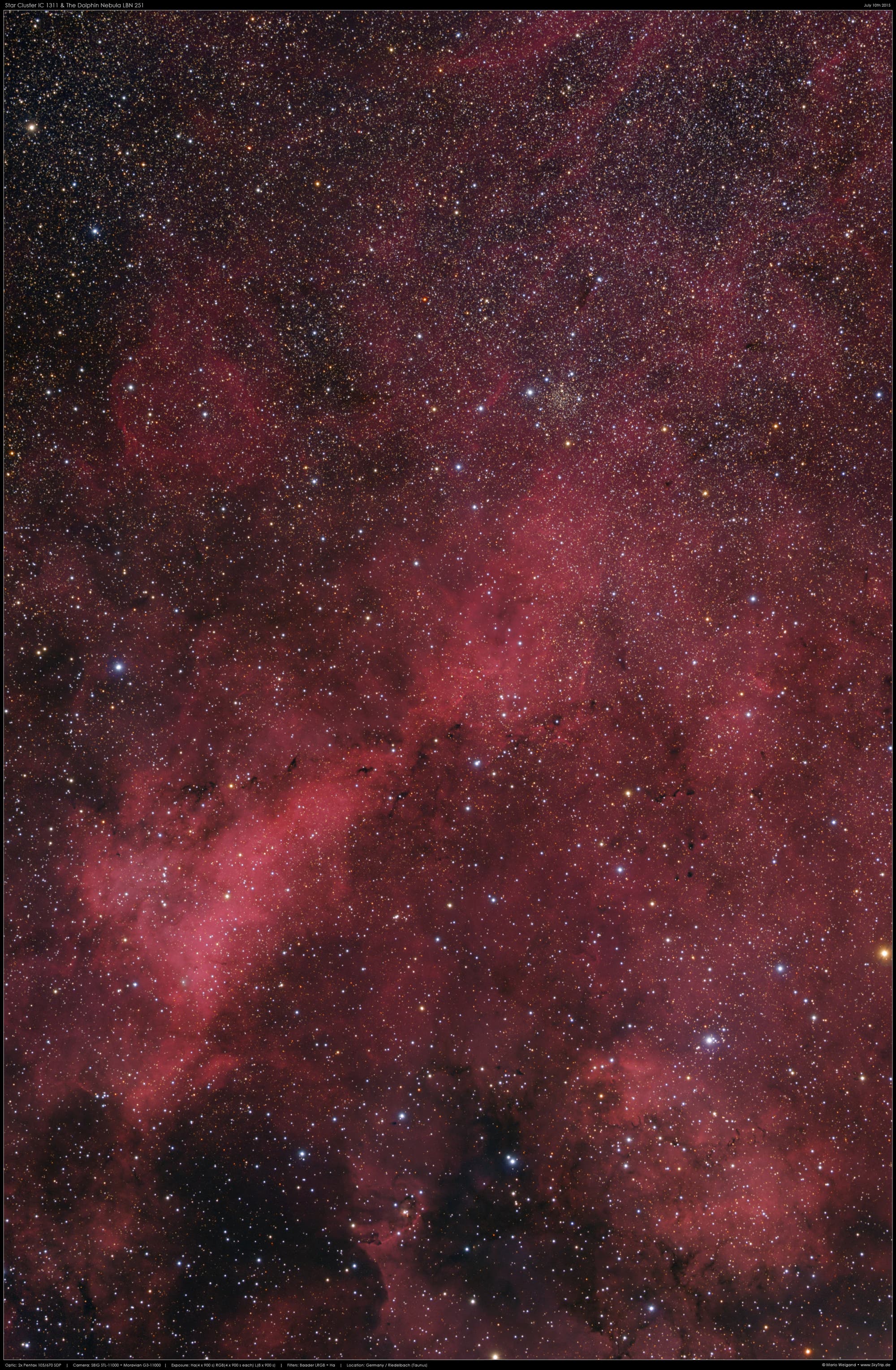 IC 1311 & LBN 251