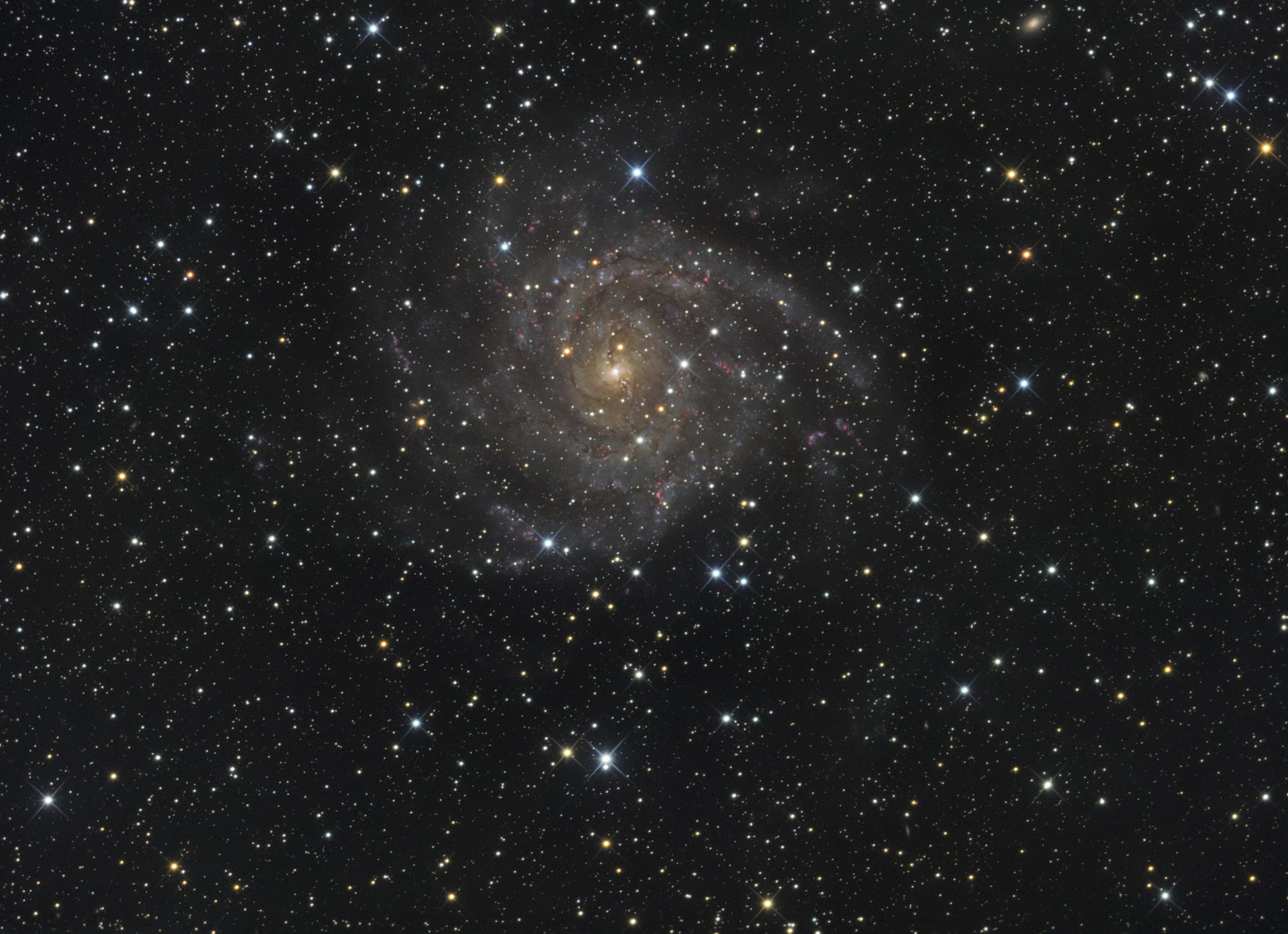 IC 342: Spiralgalaxie im Sternbild Giraffe