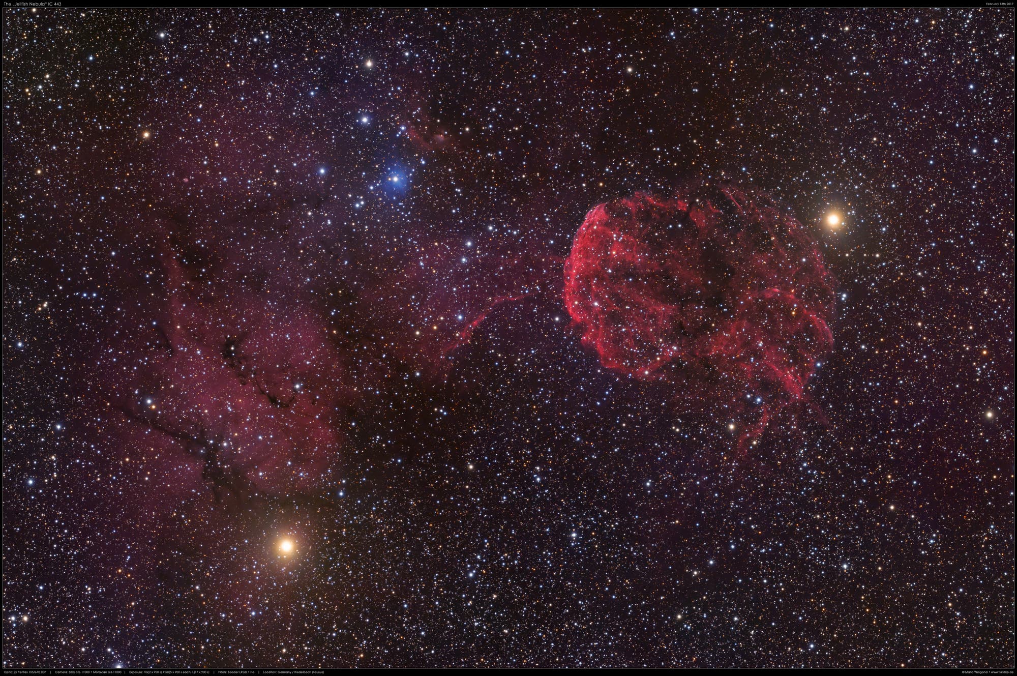 "Jellyfish Nebula" IC 443