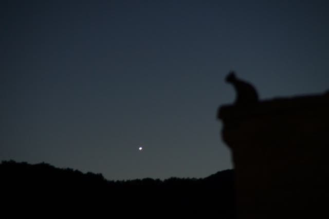Venus über einem klarem Abendhorizont in der Drome Provencale am 3. September 2013