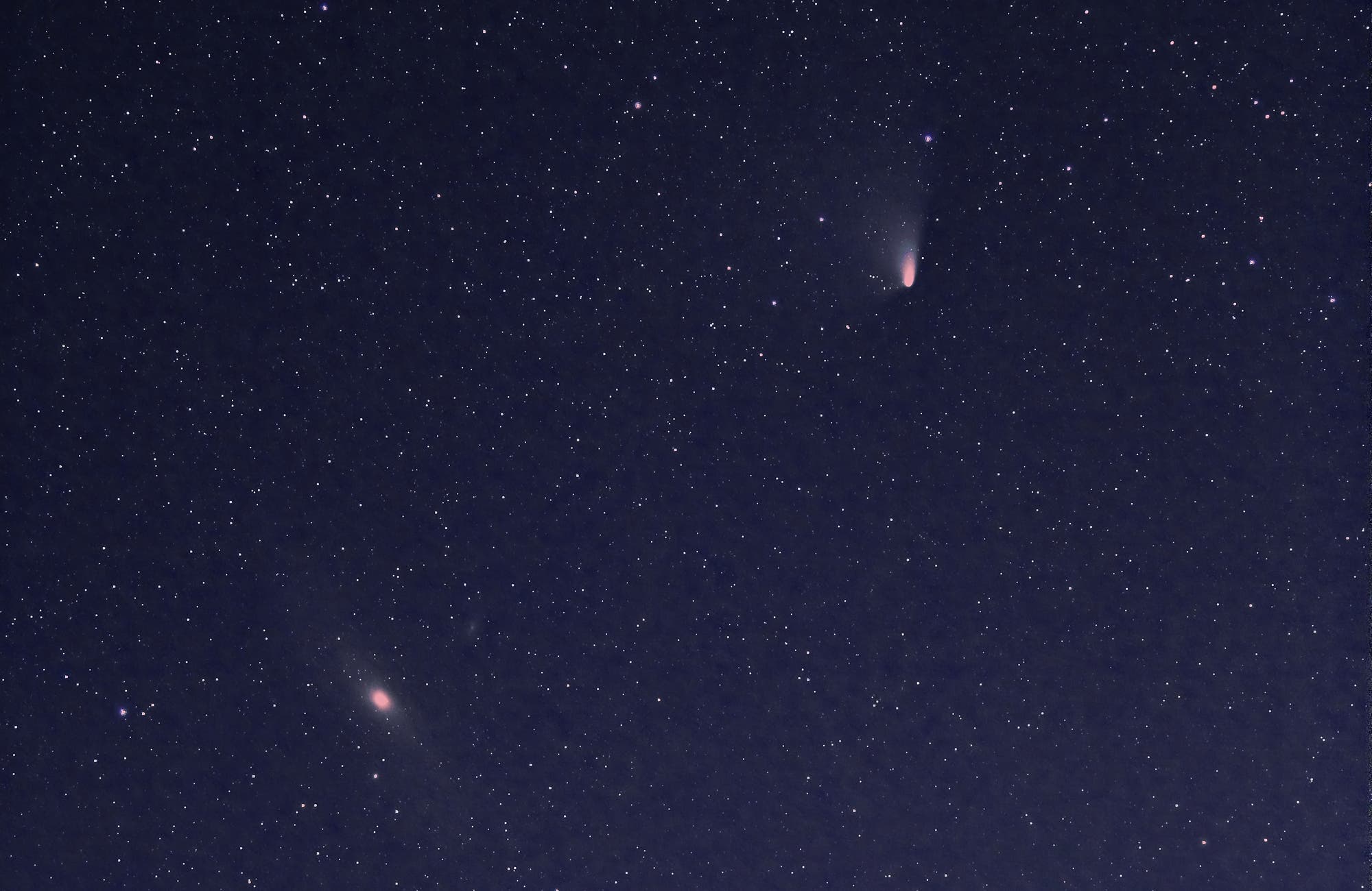 Panstarrs bei M 31