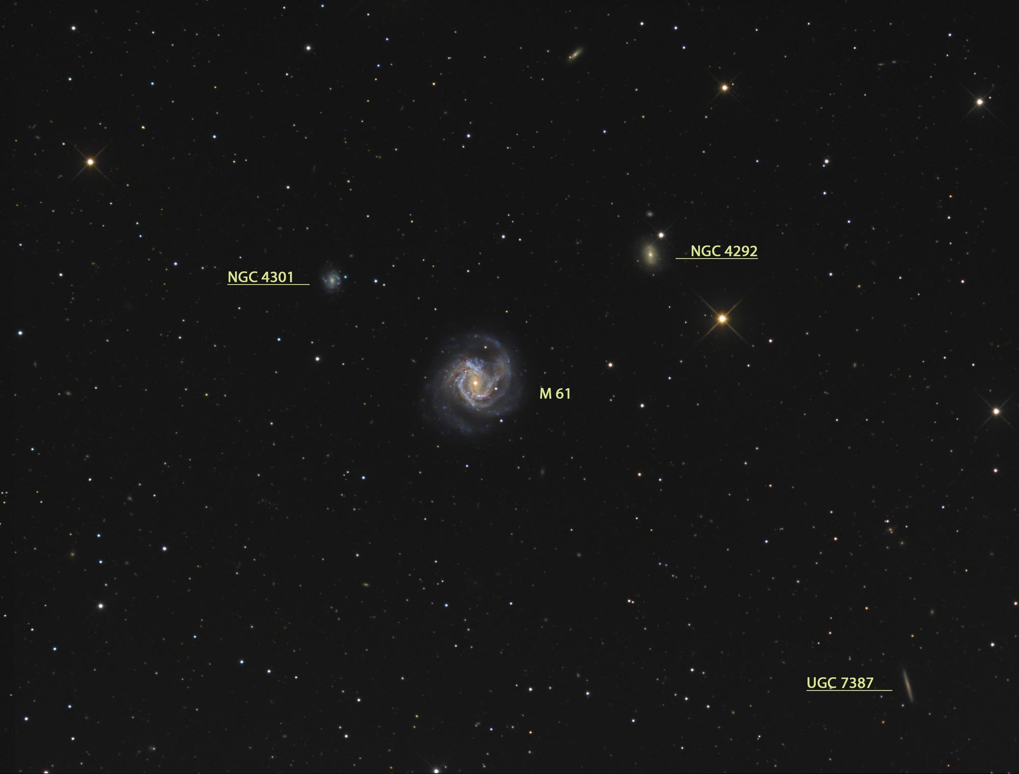 Messier 61 (Objekte)