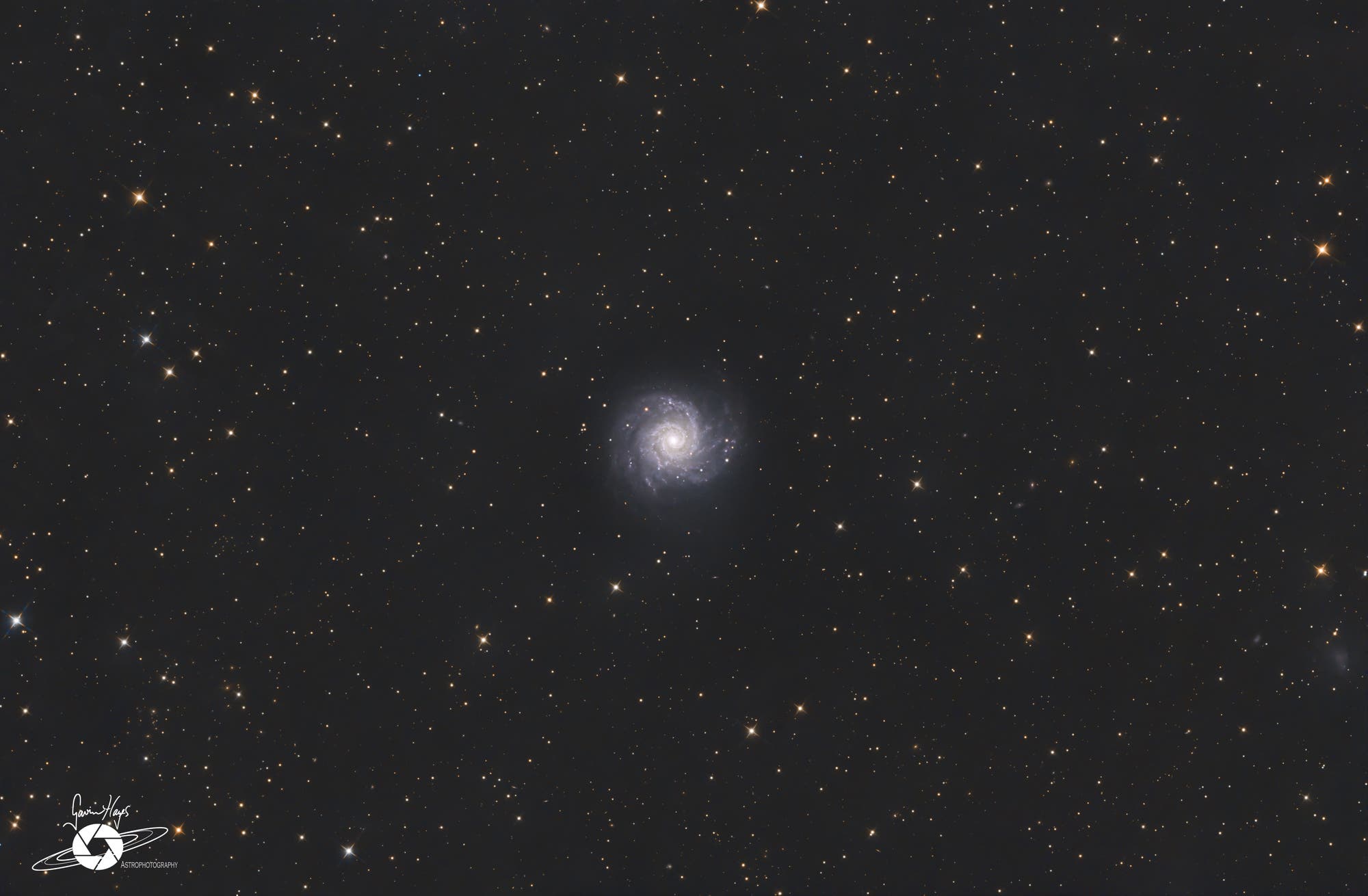 Messier 74, die Phantomgalaxie