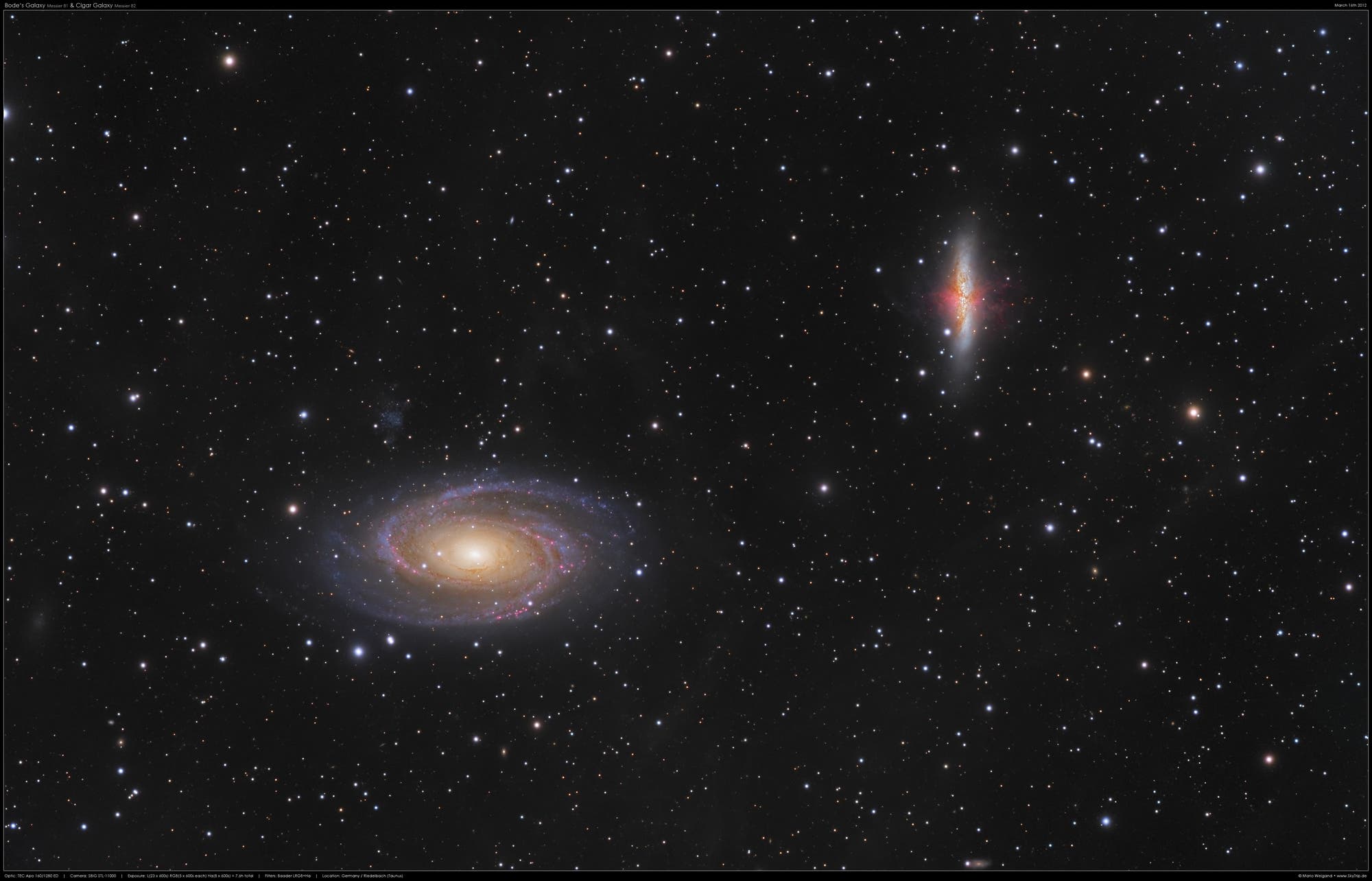 Bodes Galaxie M 81 und M 82