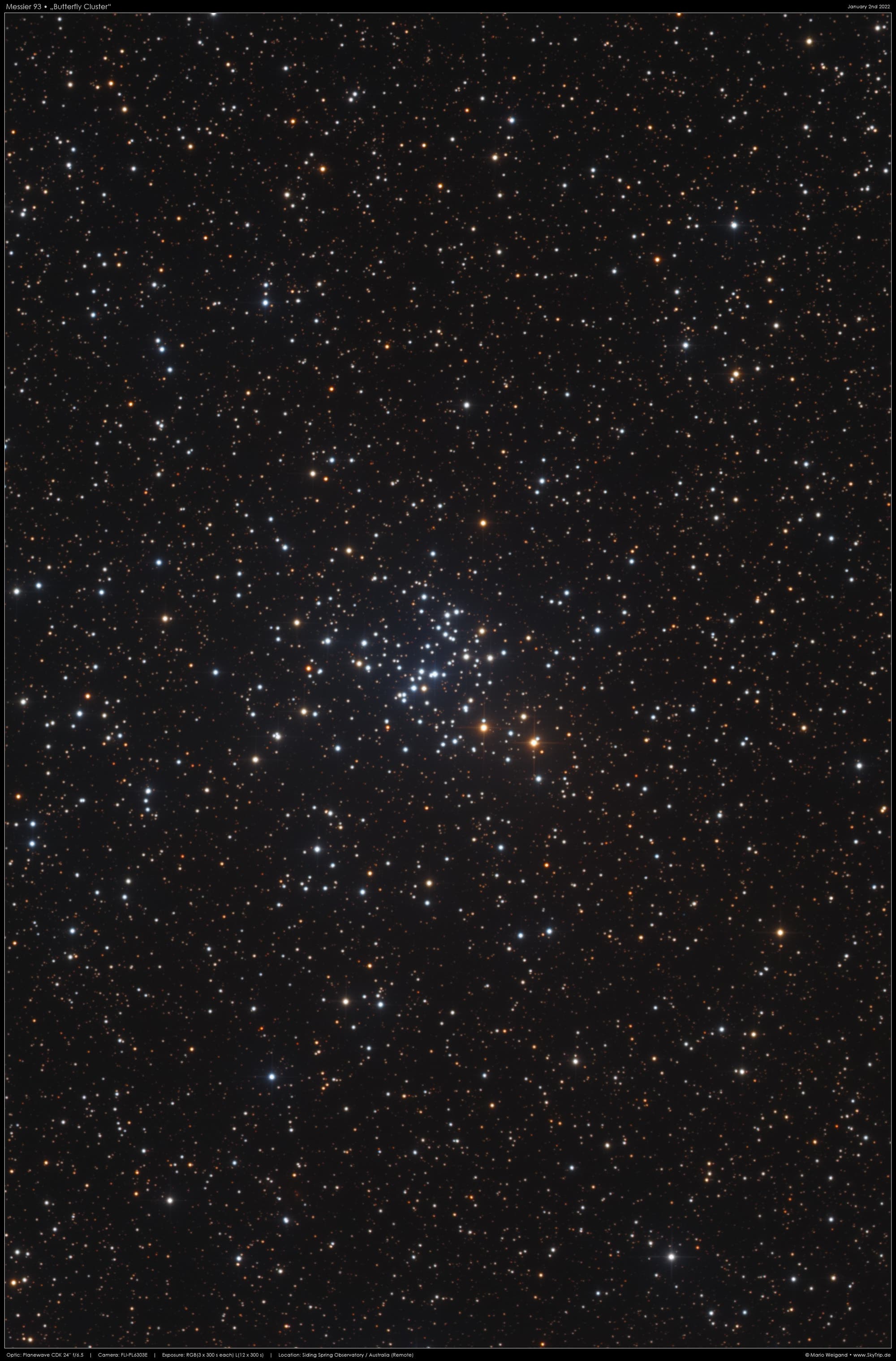 Messier 93 • Butterfly Cluster