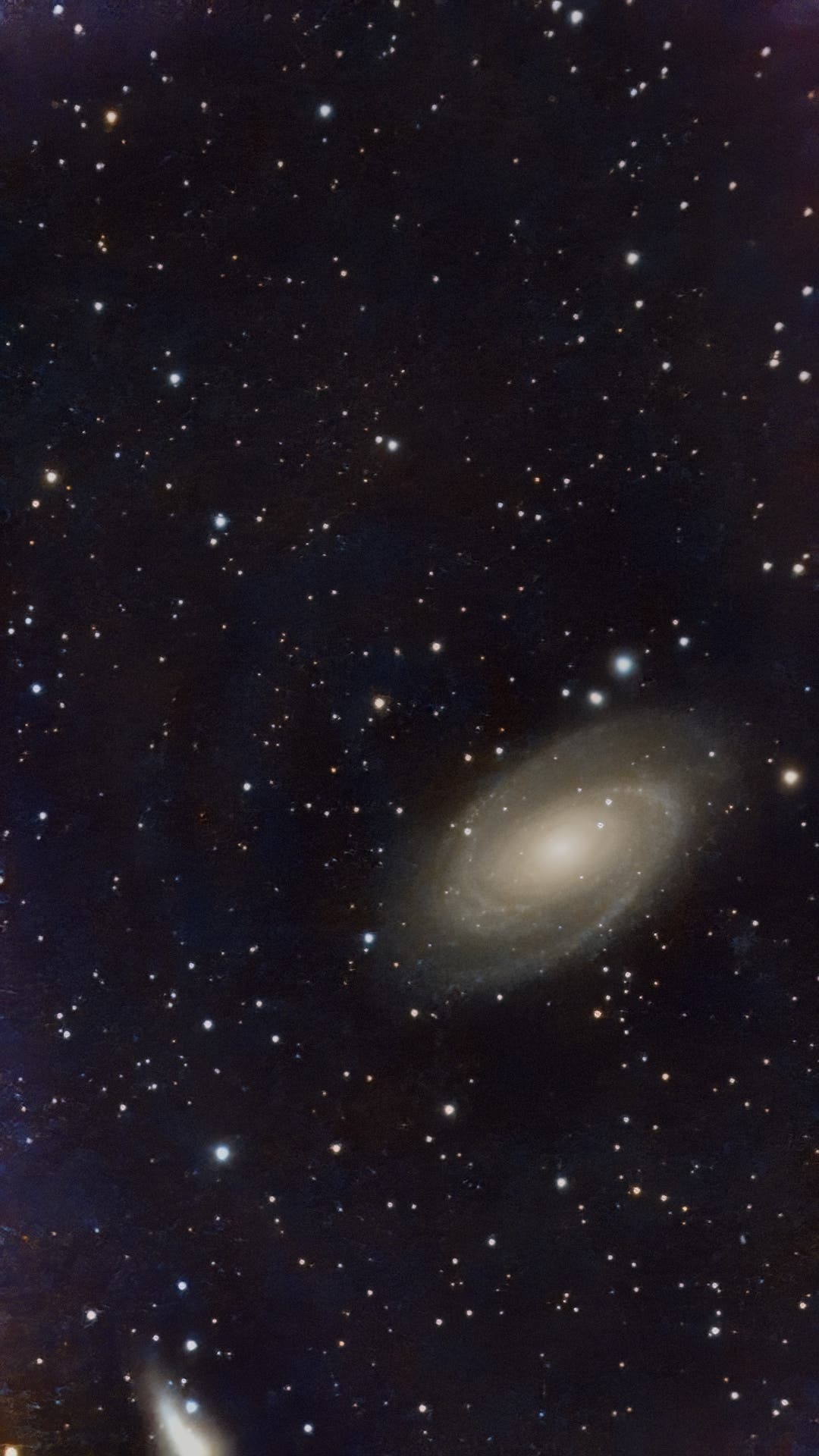 Messier 81 Bodes Galaxie