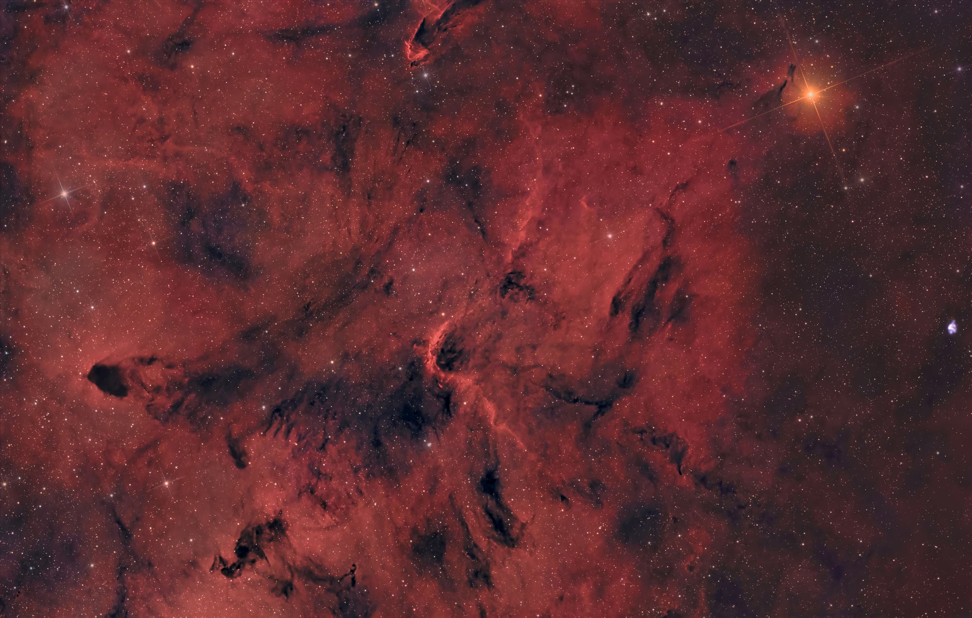 Mu Cephei und Umgebung