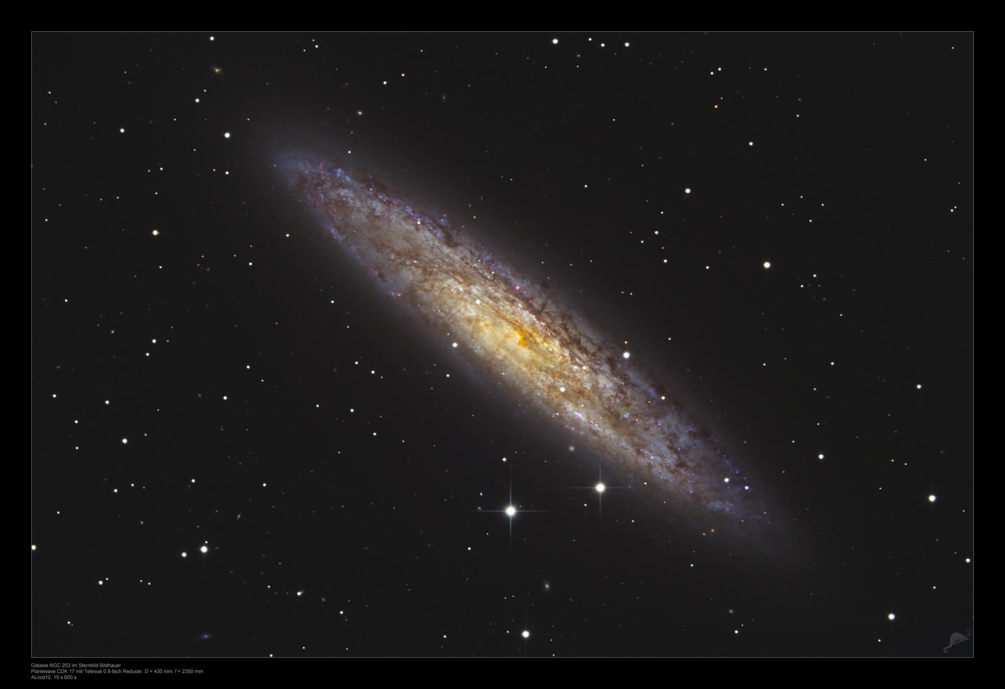 Sculptor-Galaxie NGC 253