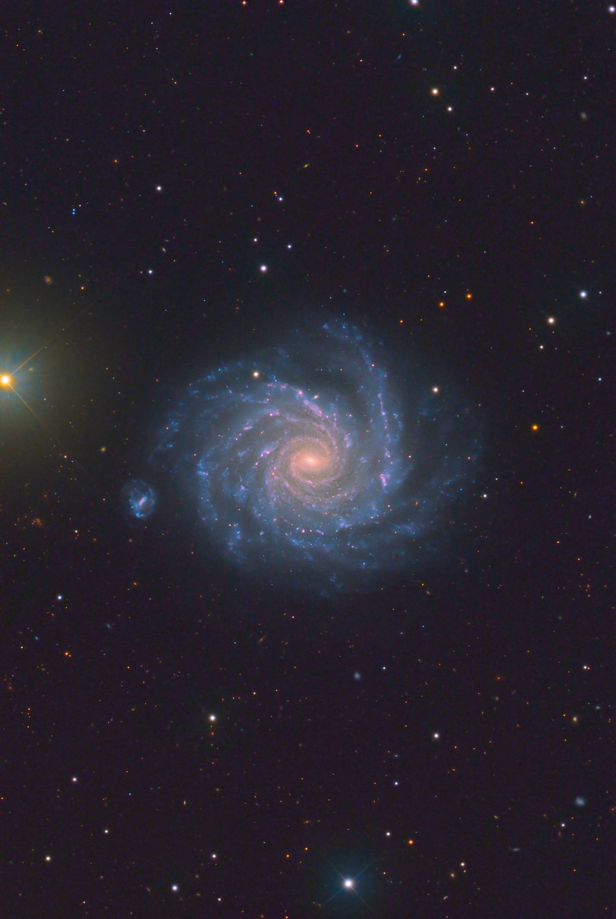 Spiralgalaxie NGC 1232