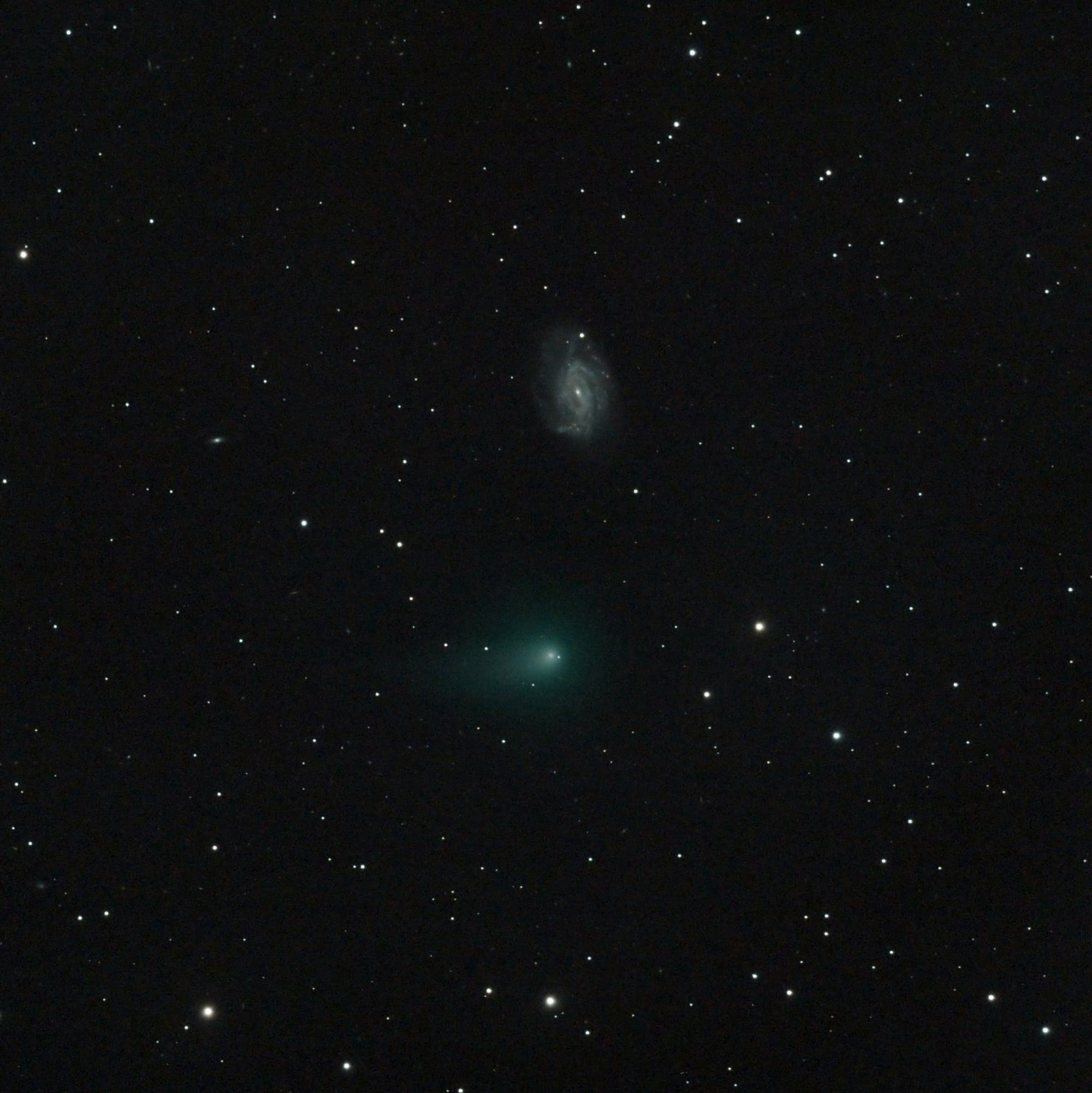 C/2012 K1 (PANSTARRS) bei NGC 3726