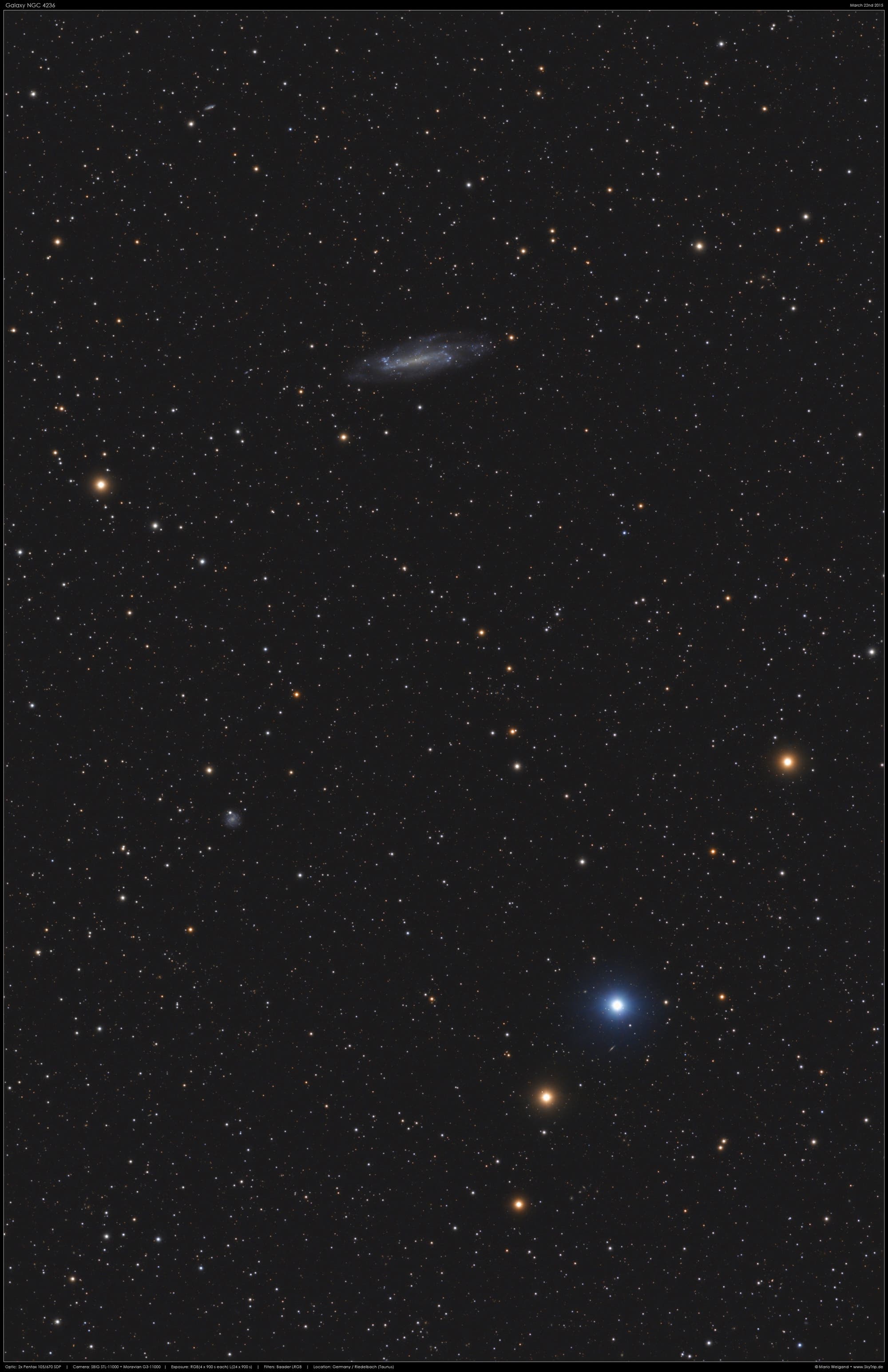 Spiralgalaxie NGC 4236 im Drache