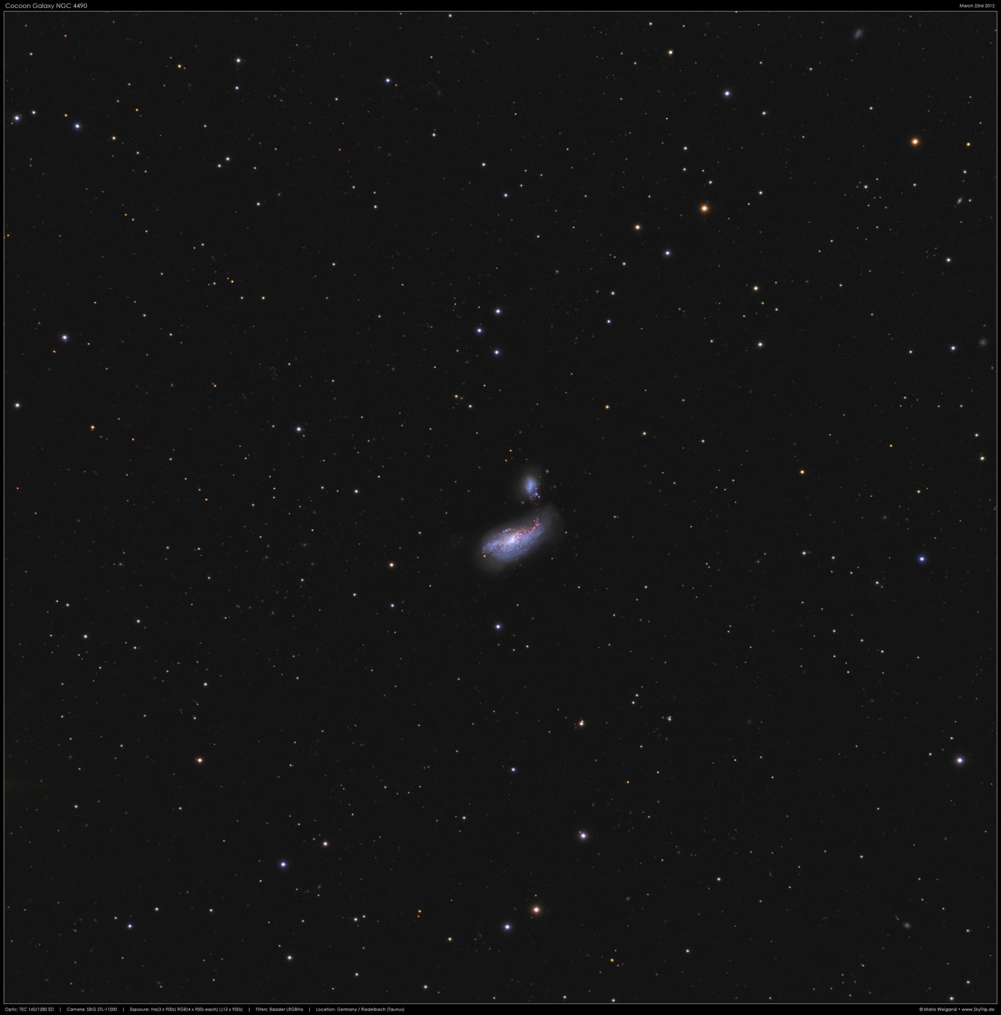 Arp 269: Kokon-Galaxie NGC 4490 und NGC 4485