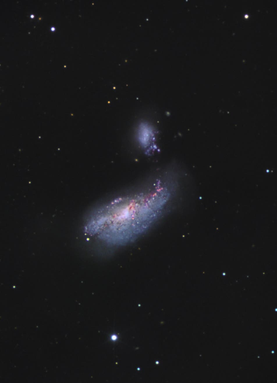 Arp 269 (NGC 4490 und NGC 4485)