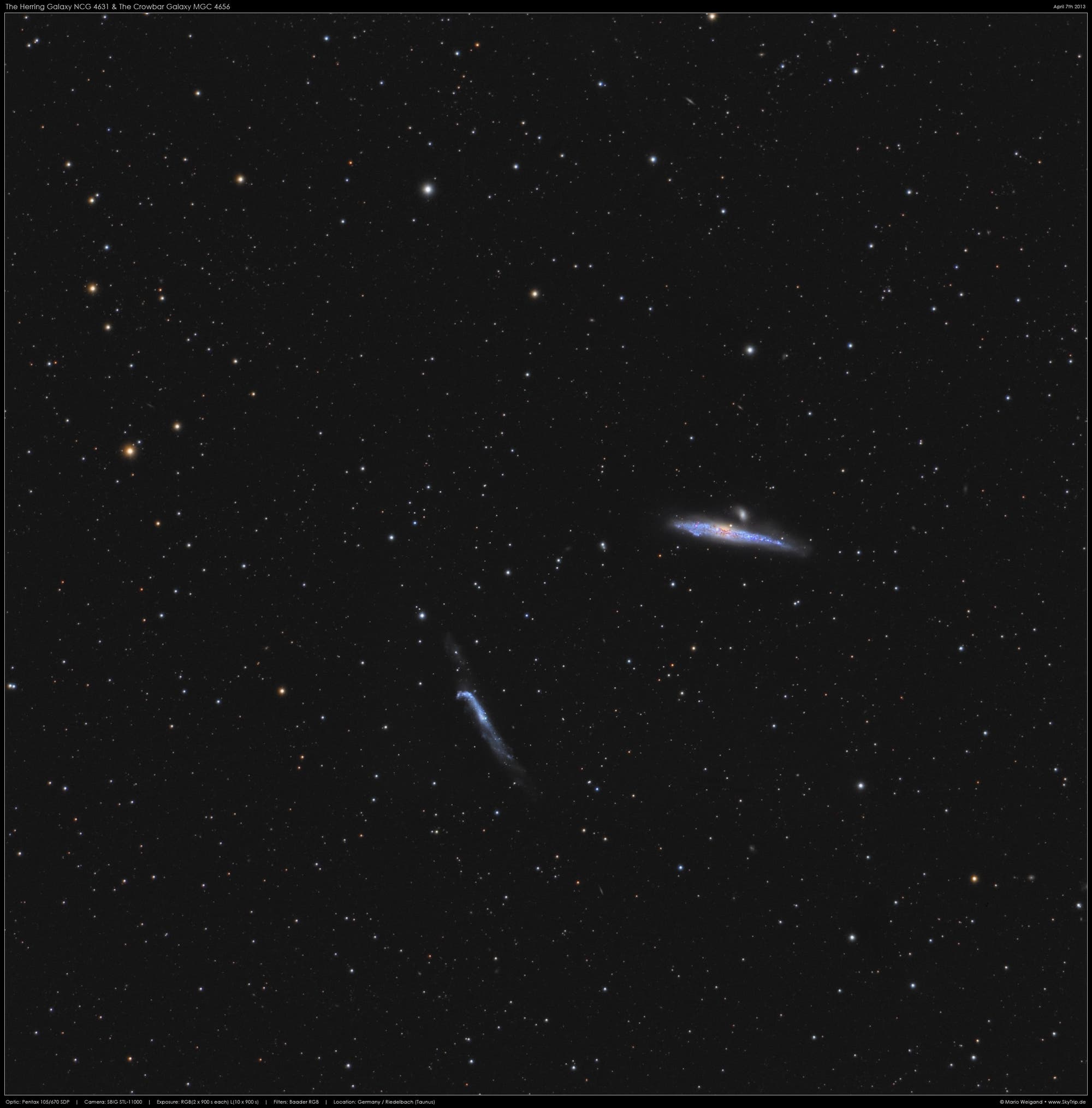 Das Galaxienpaar NGC 4631 & NGC 4656  Hering und Angelhaken