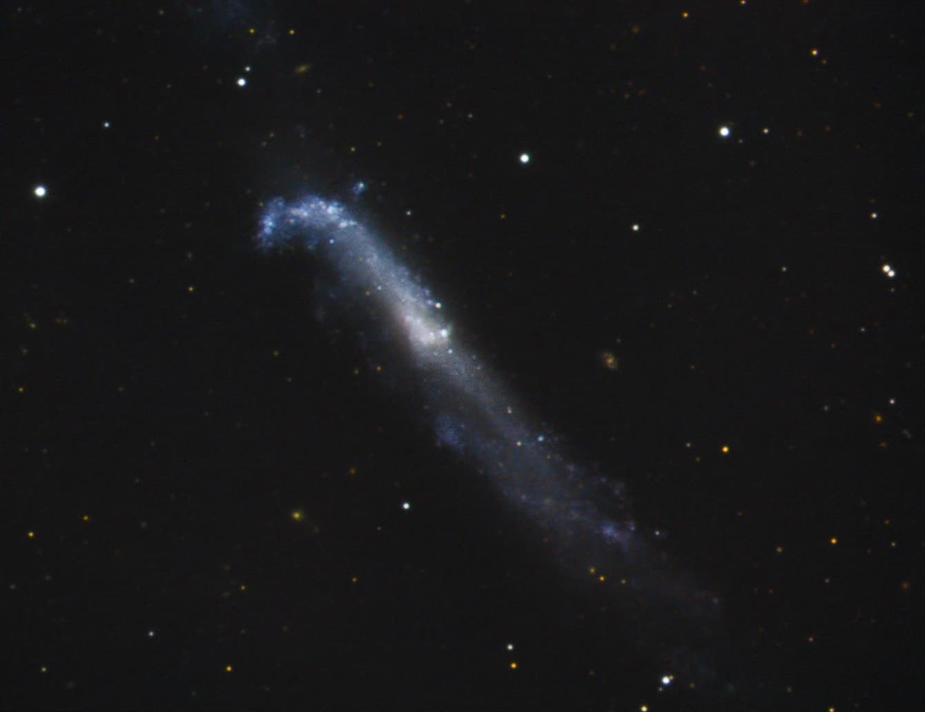 NGC 4656 / NGC 4657 in den Jagdhunden