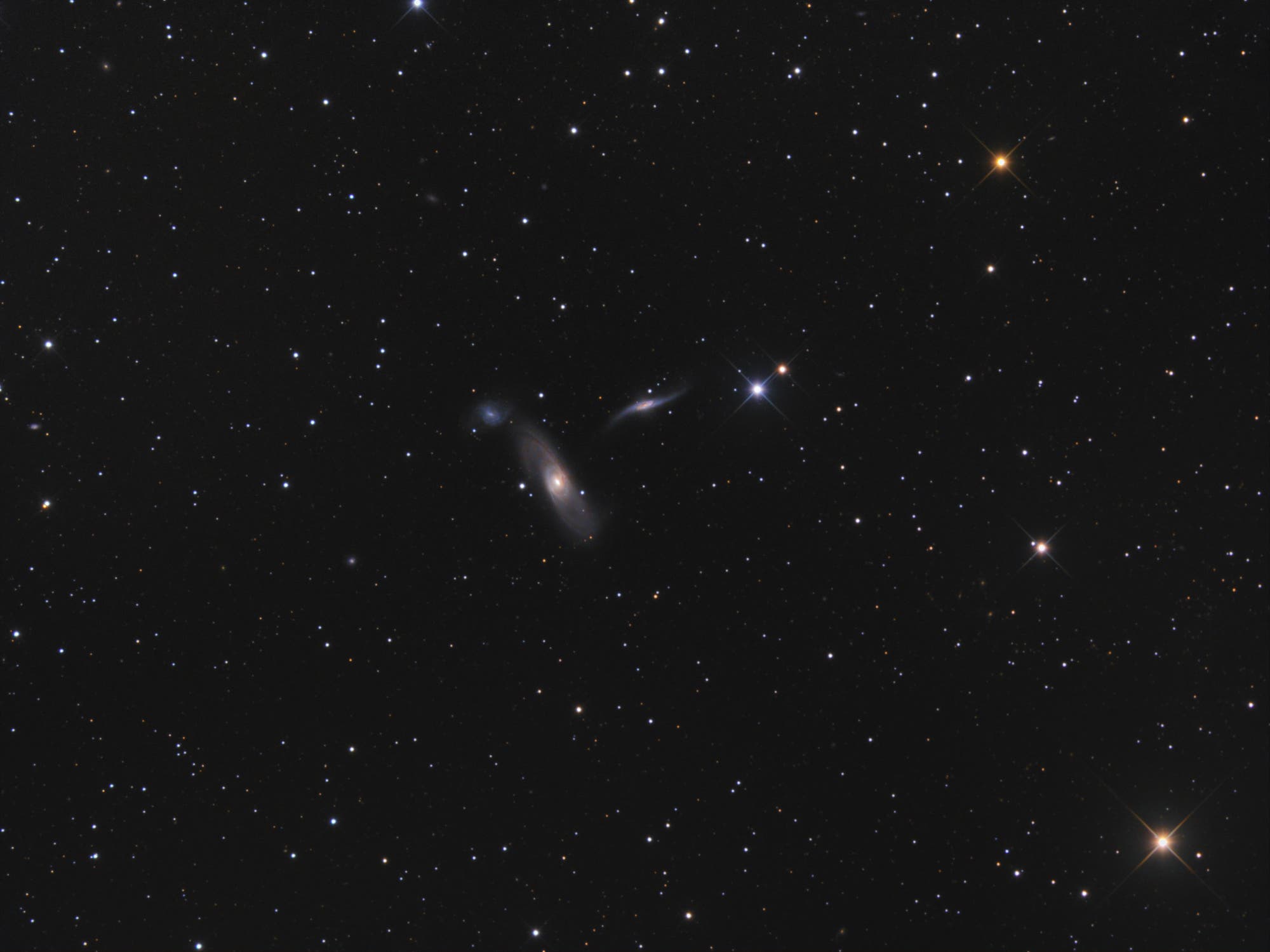 Arp 286  (NGC 5566)
