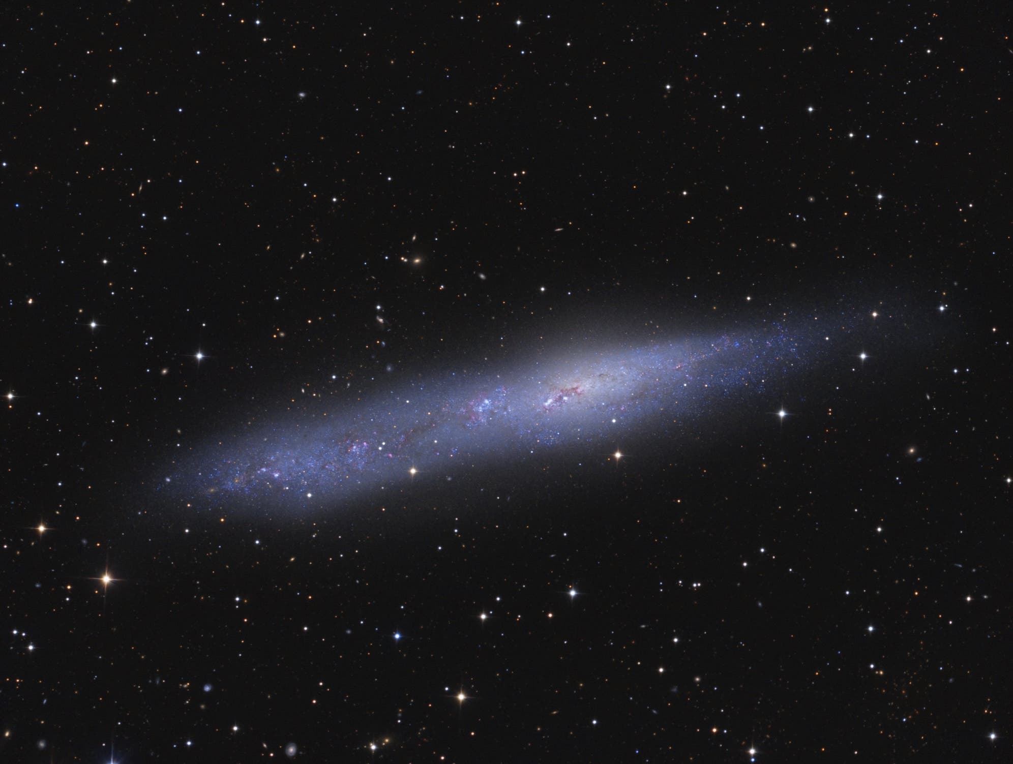 NGC 55 - eine irreguläre  Galaxie am Südhimmel 
