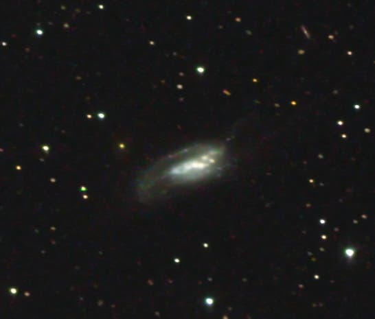 ad NGC 6239 - "Cockroach Galaxy"