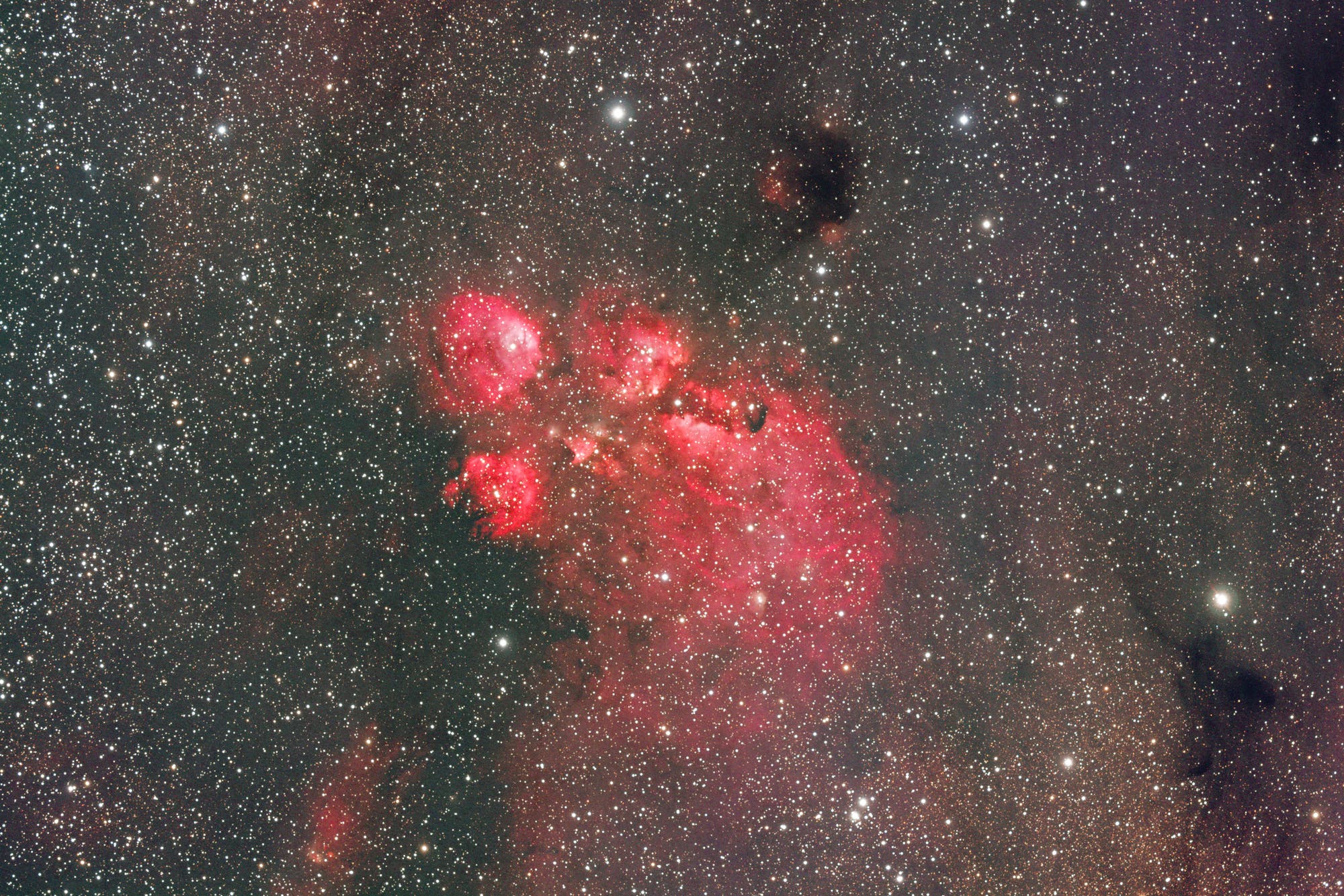 Katzenpfotennebel NGC 6334 mit Dunkelnebel B 257