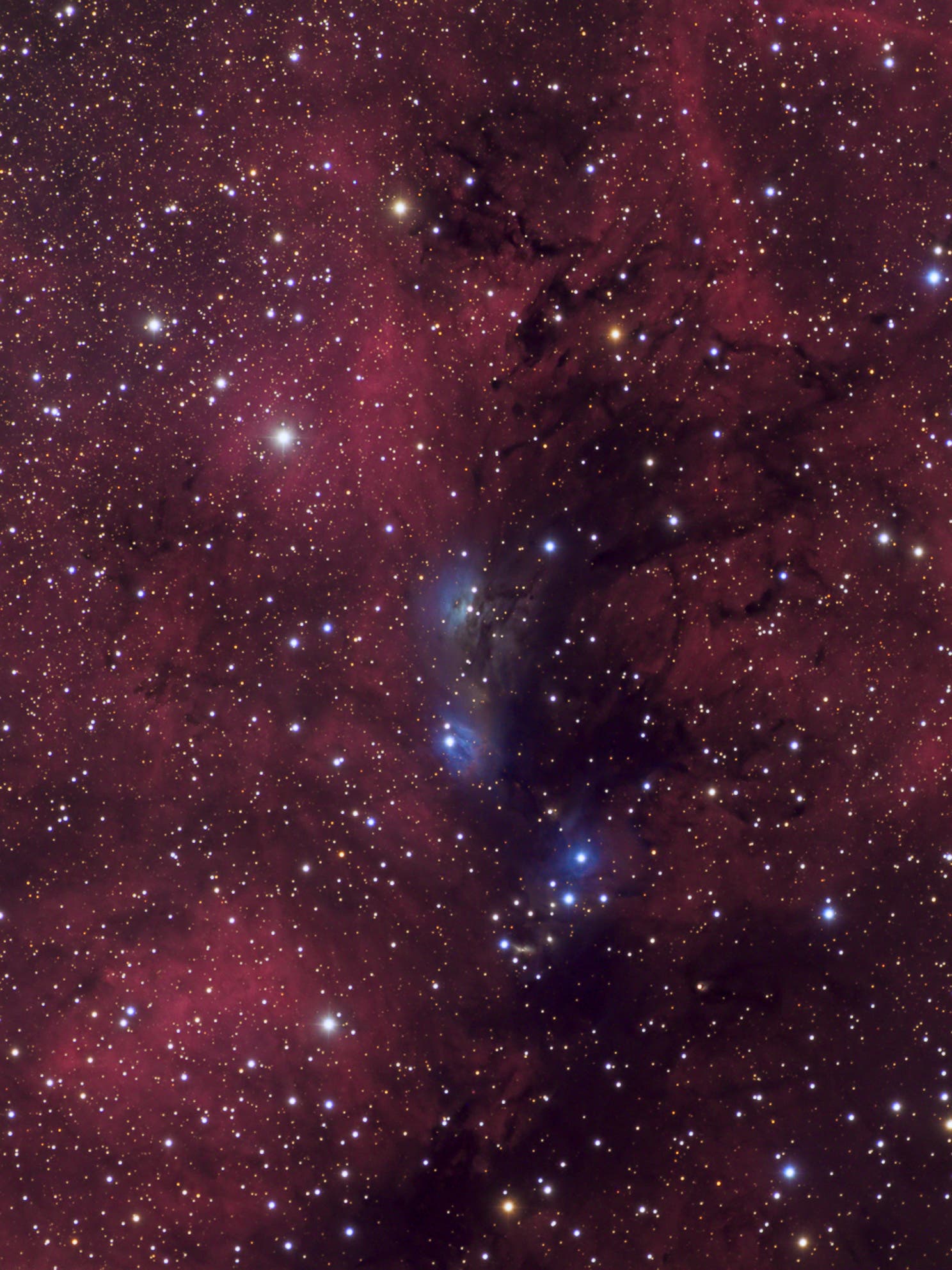 NGC 6914 VDB 132 ...