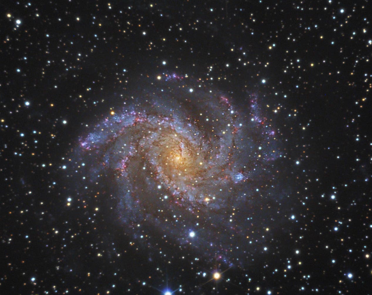 NGC 6946 – die Feuerwerksgalaxie