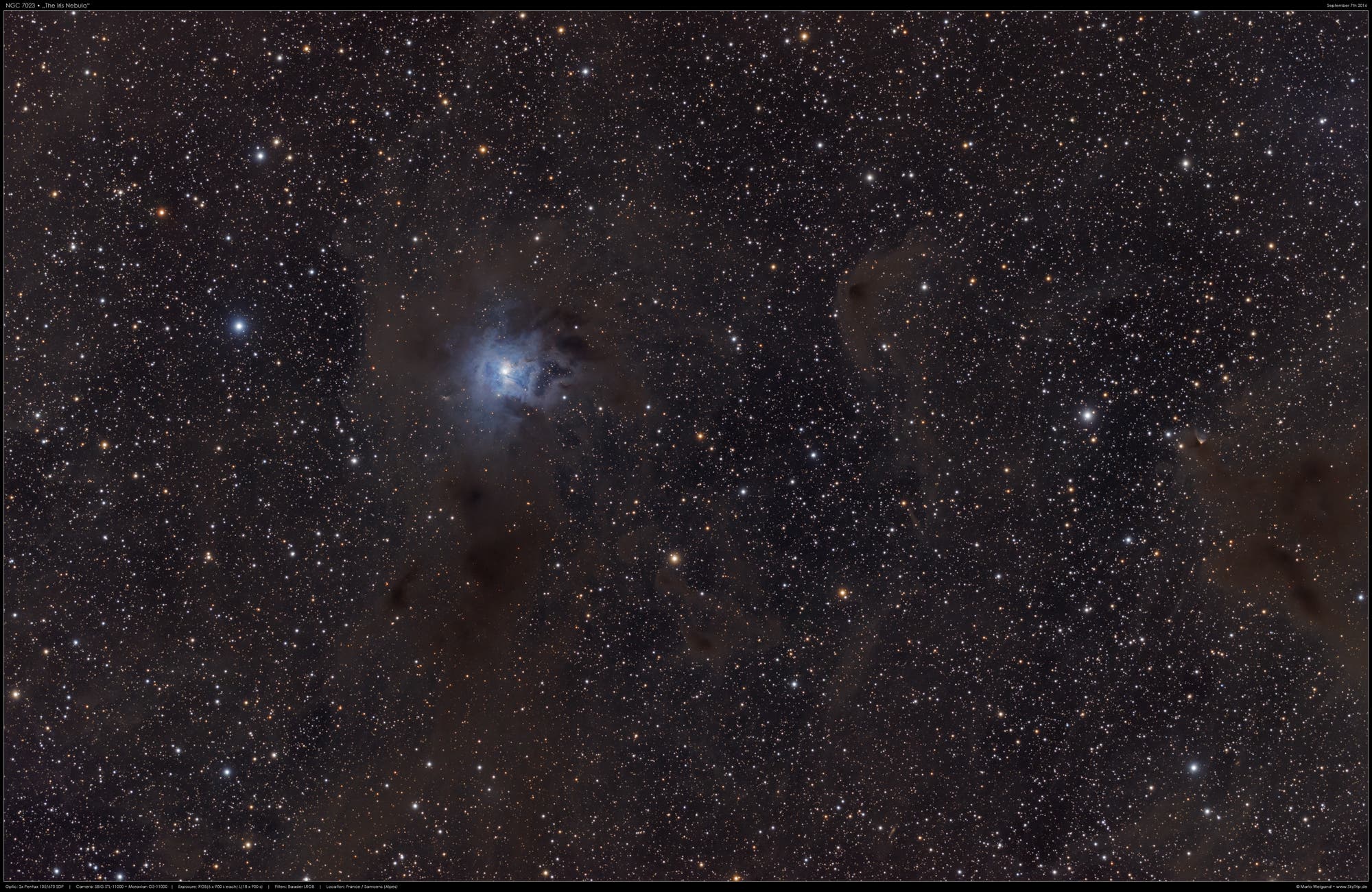 NGC 7023 • "Der Irisnebel"