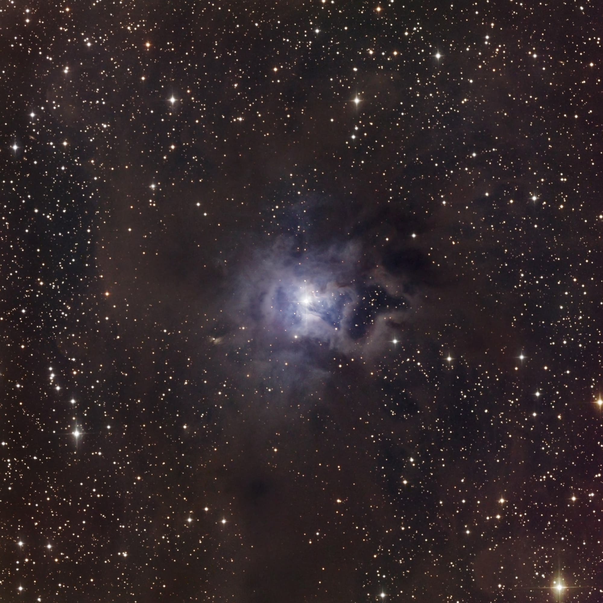 NGC 7023 - Irisnebel
