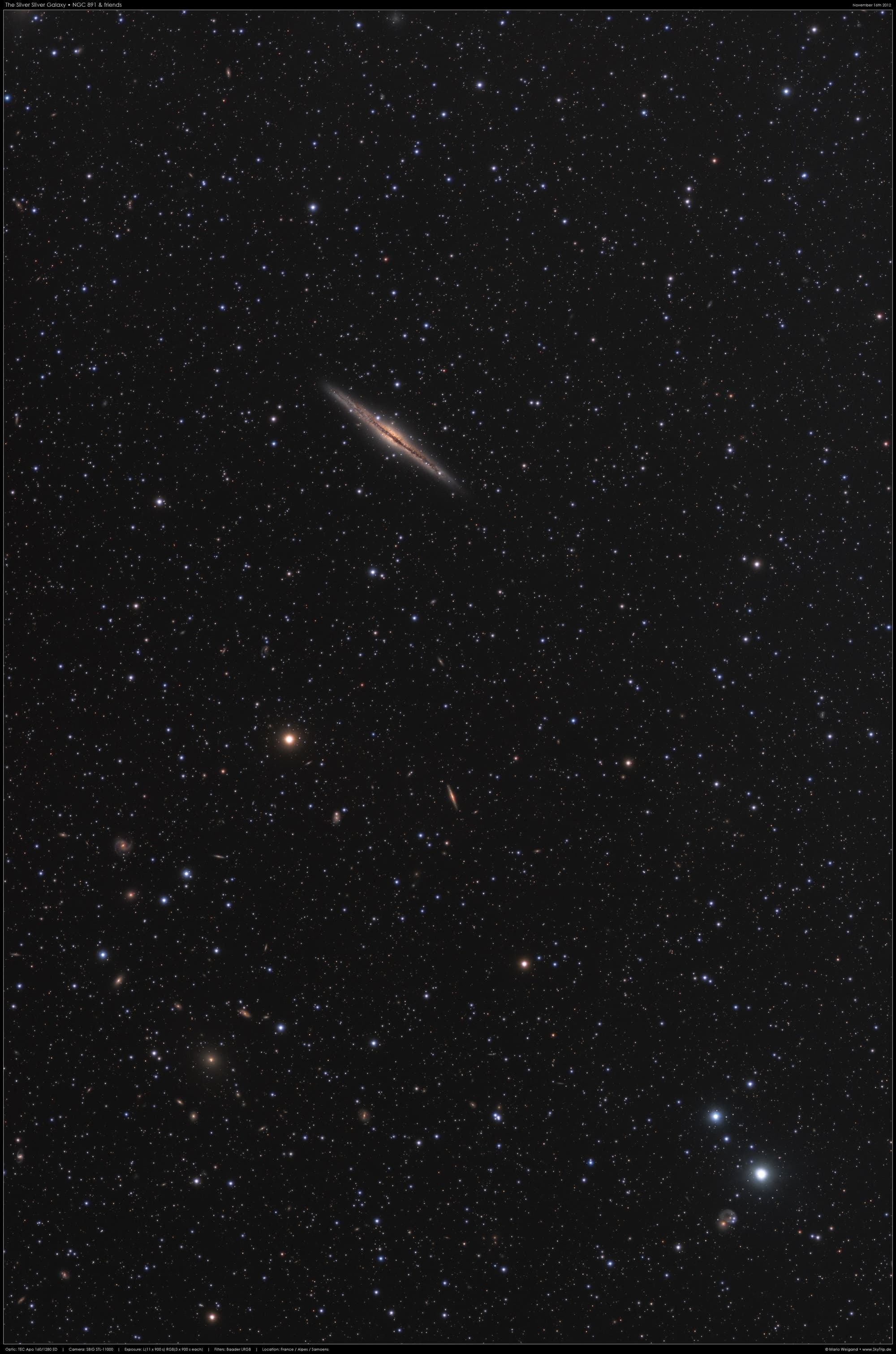 NGC 891 und Umgebung