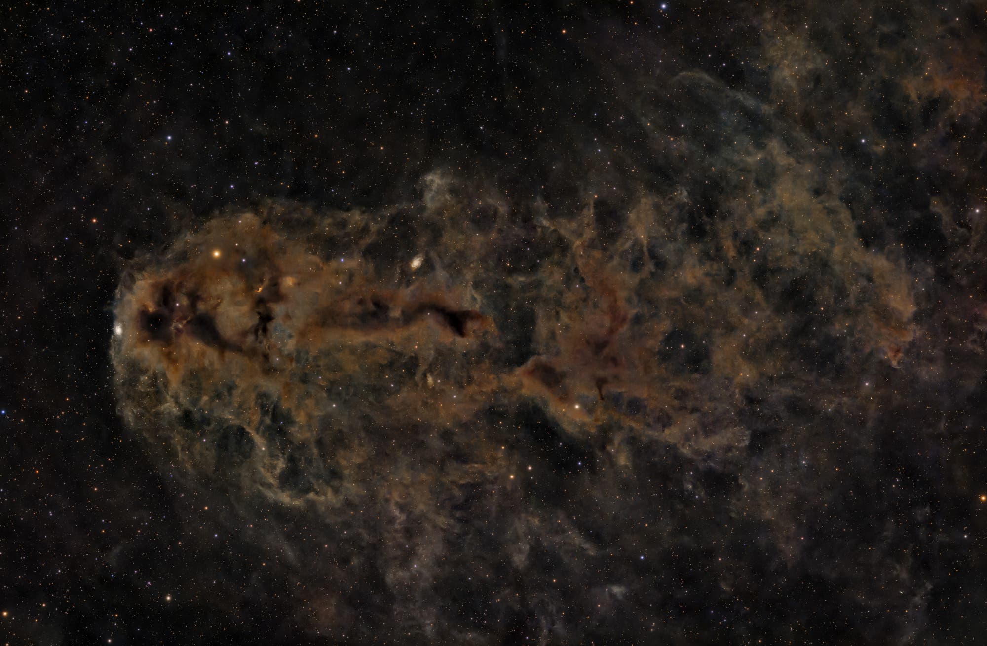 A »Fish« in Cepheus