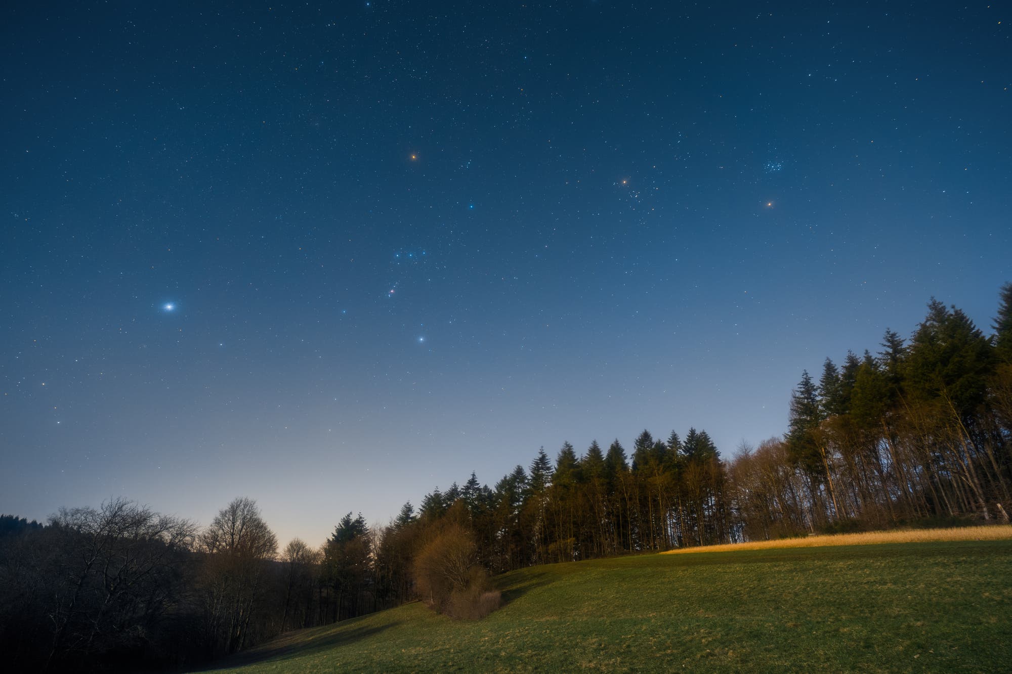 Orion über dem Odenwald