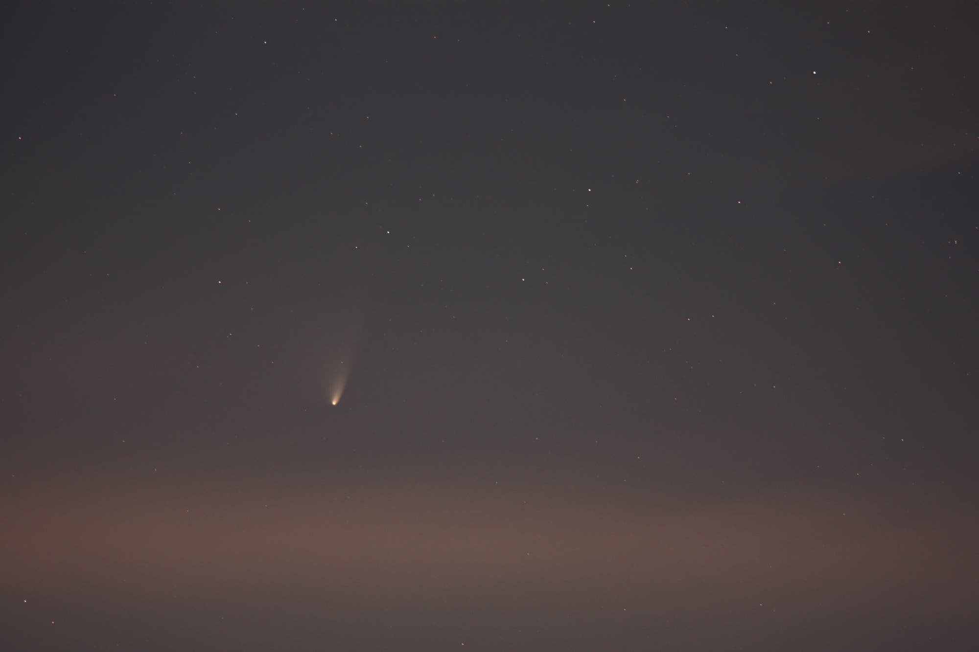 Komet PANSTARRS am 24. März 2013