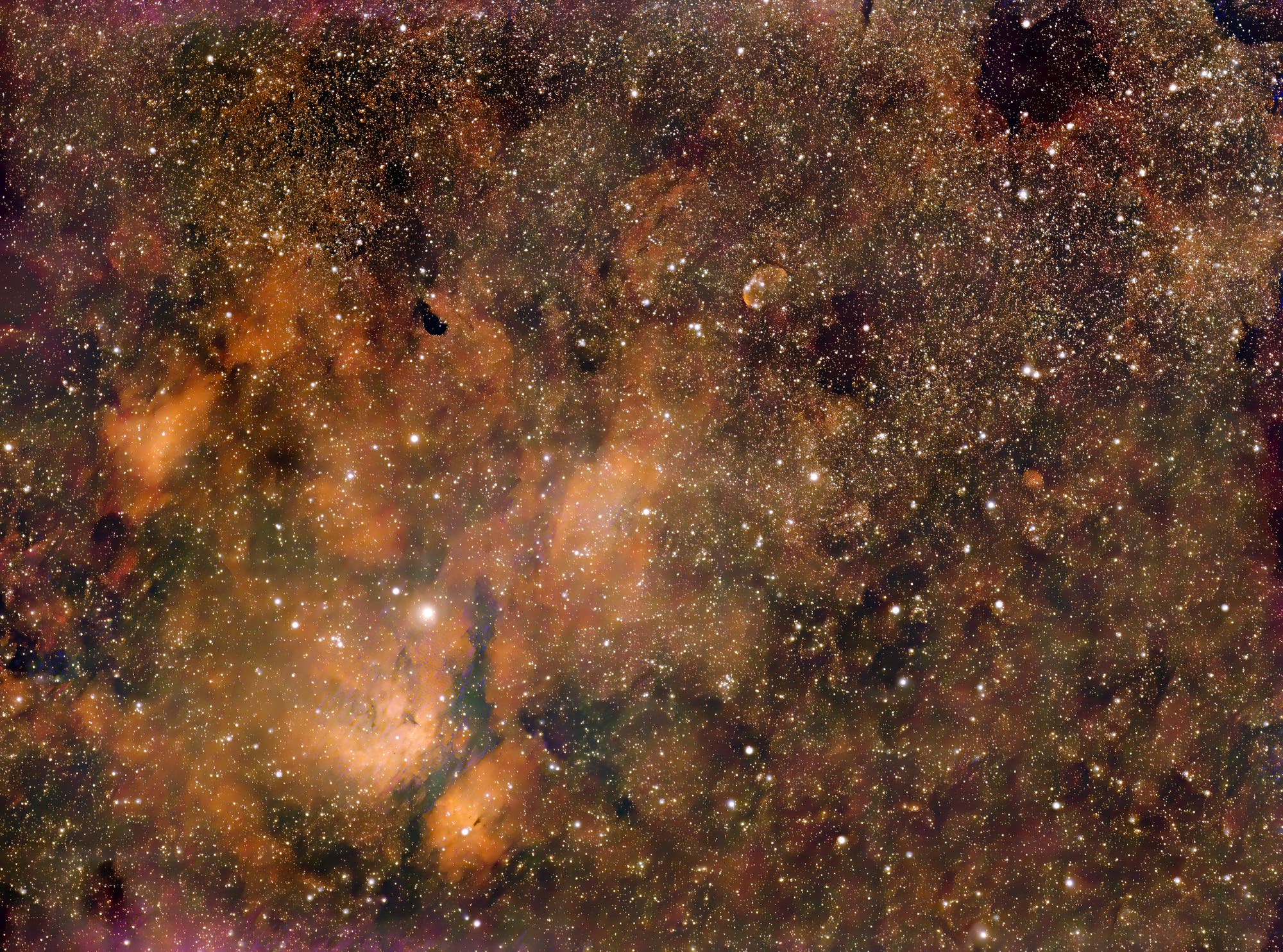 Sadr-Region + NGC 6910