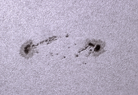 Sonnenfleckengruppe 2644 am 27. März 2017