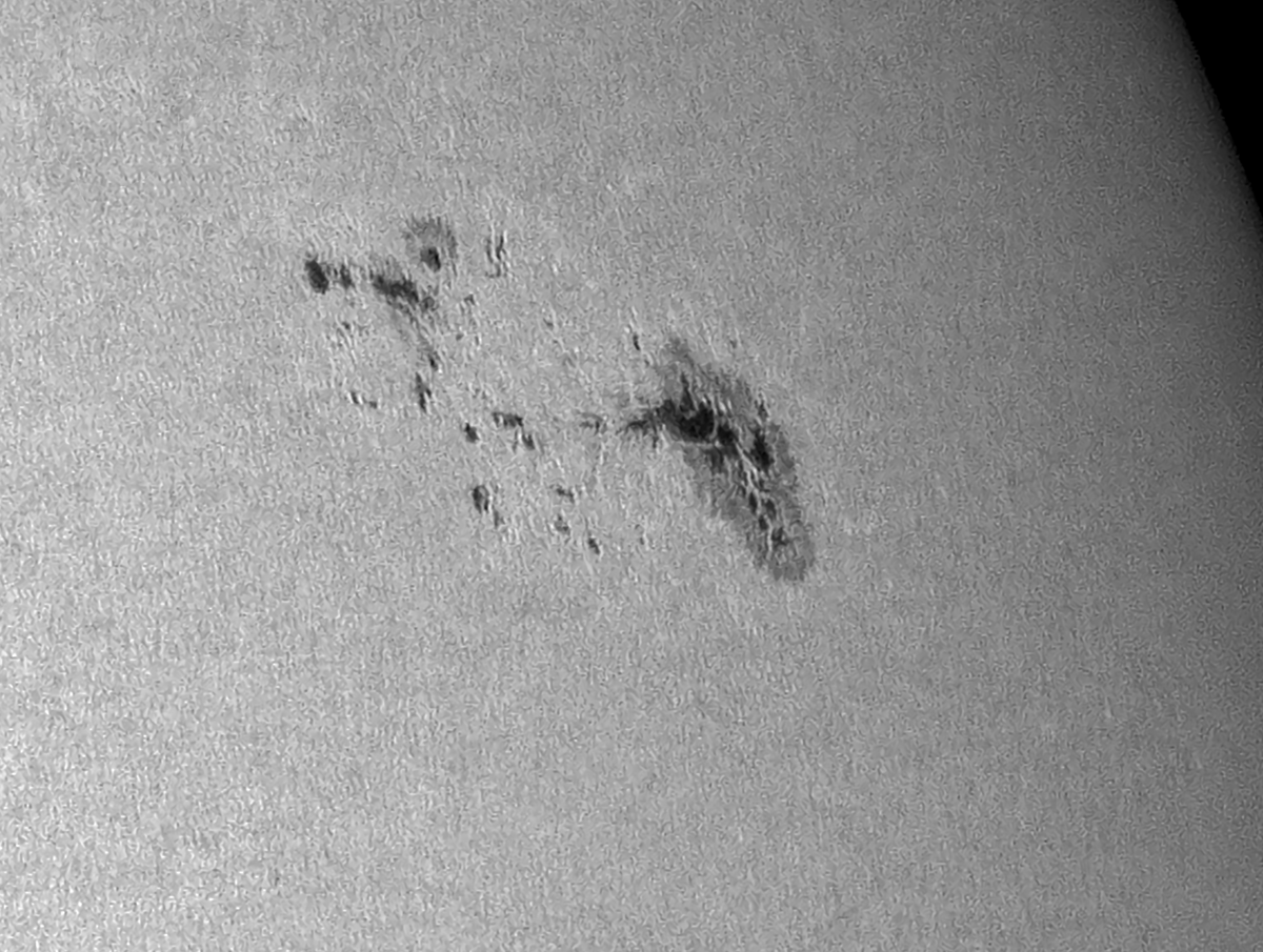 Sonnenfleck 2736 am 22. März 2019